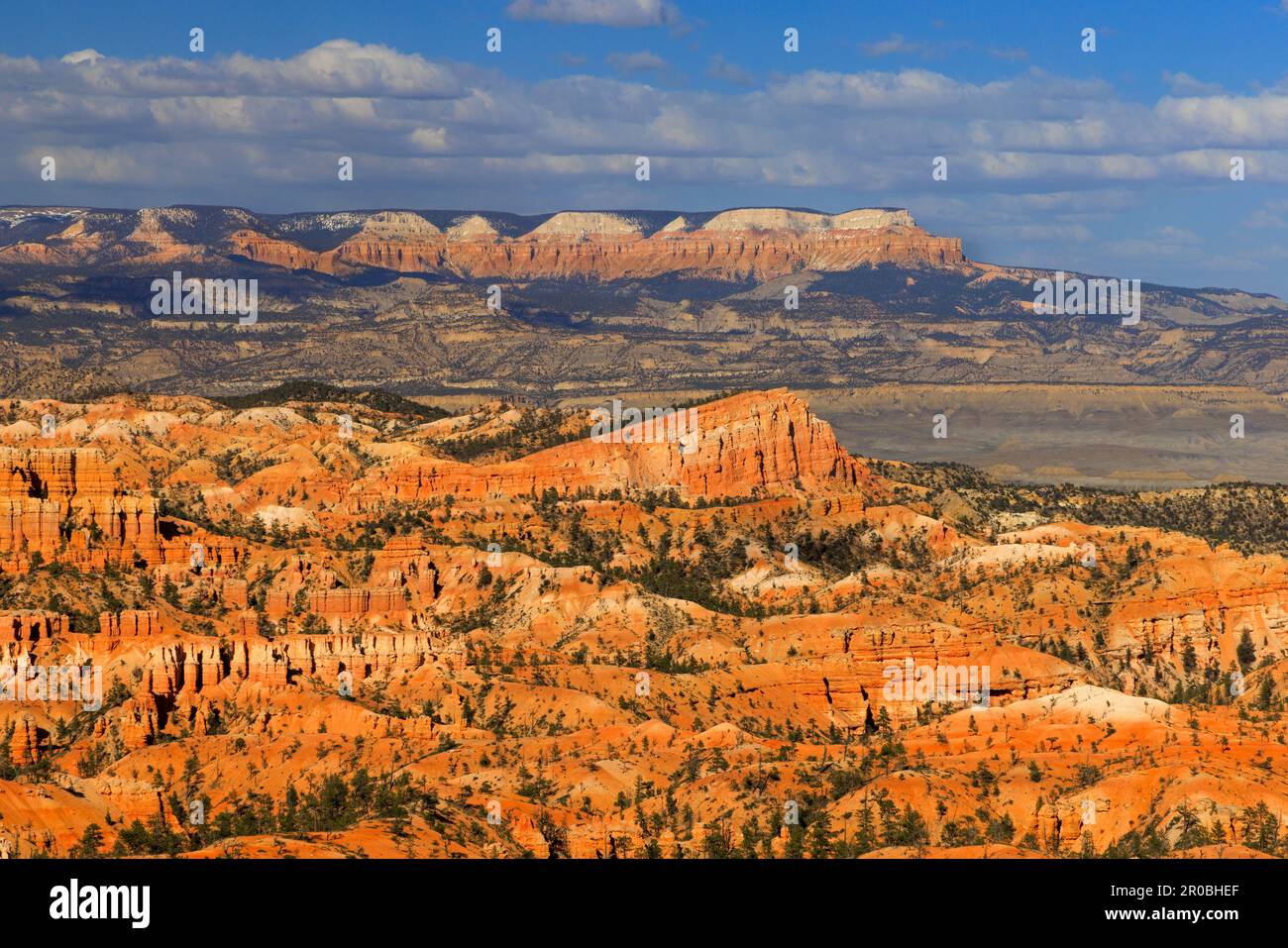 Al centro della cornice si trova una formazione rocciosa conosciuta come la nave affondante, l'anfiteatro Bryce del Bryce Canyon Nation Park, Garfield County, Utah, USA. Foto Stock