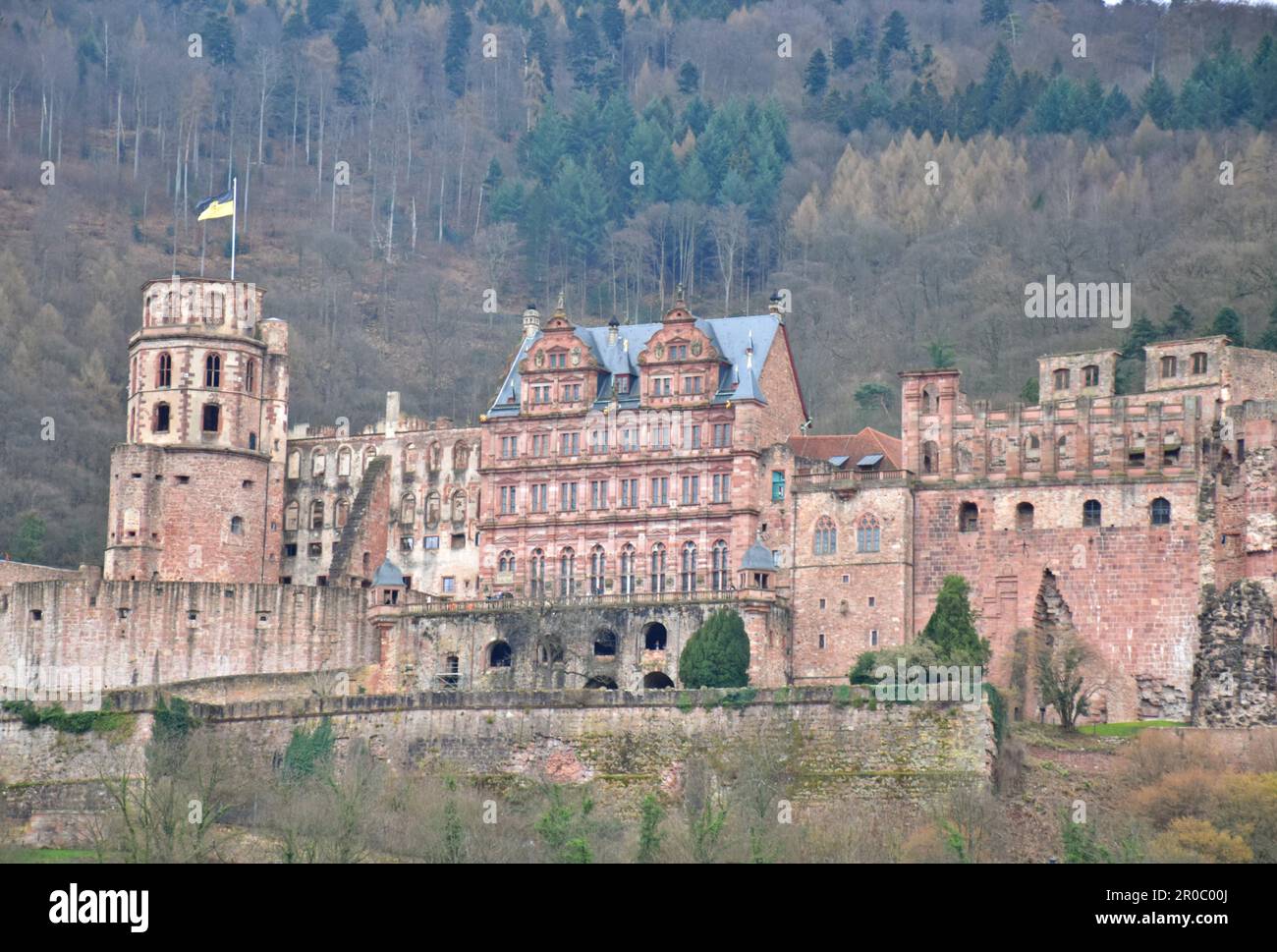 Vista dell'antico castello situato sopra il fiume Neckar a Heidelberg, Germania Foto Stock