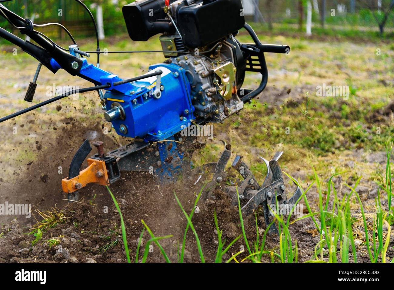 Arare la terra nel giardino. Giardino di lavoro. Aratri la terra con un motocoltivatore. Foto Stock