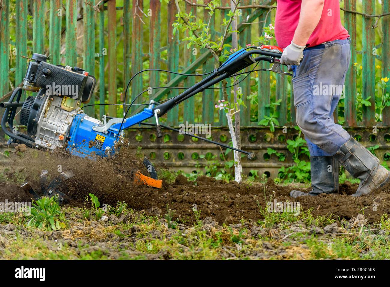 Coltivatore maschio lavora in un campo. Aratro terreno giardino. Coltivatore giardiniere coltivare suolo rototiller Foto Stock