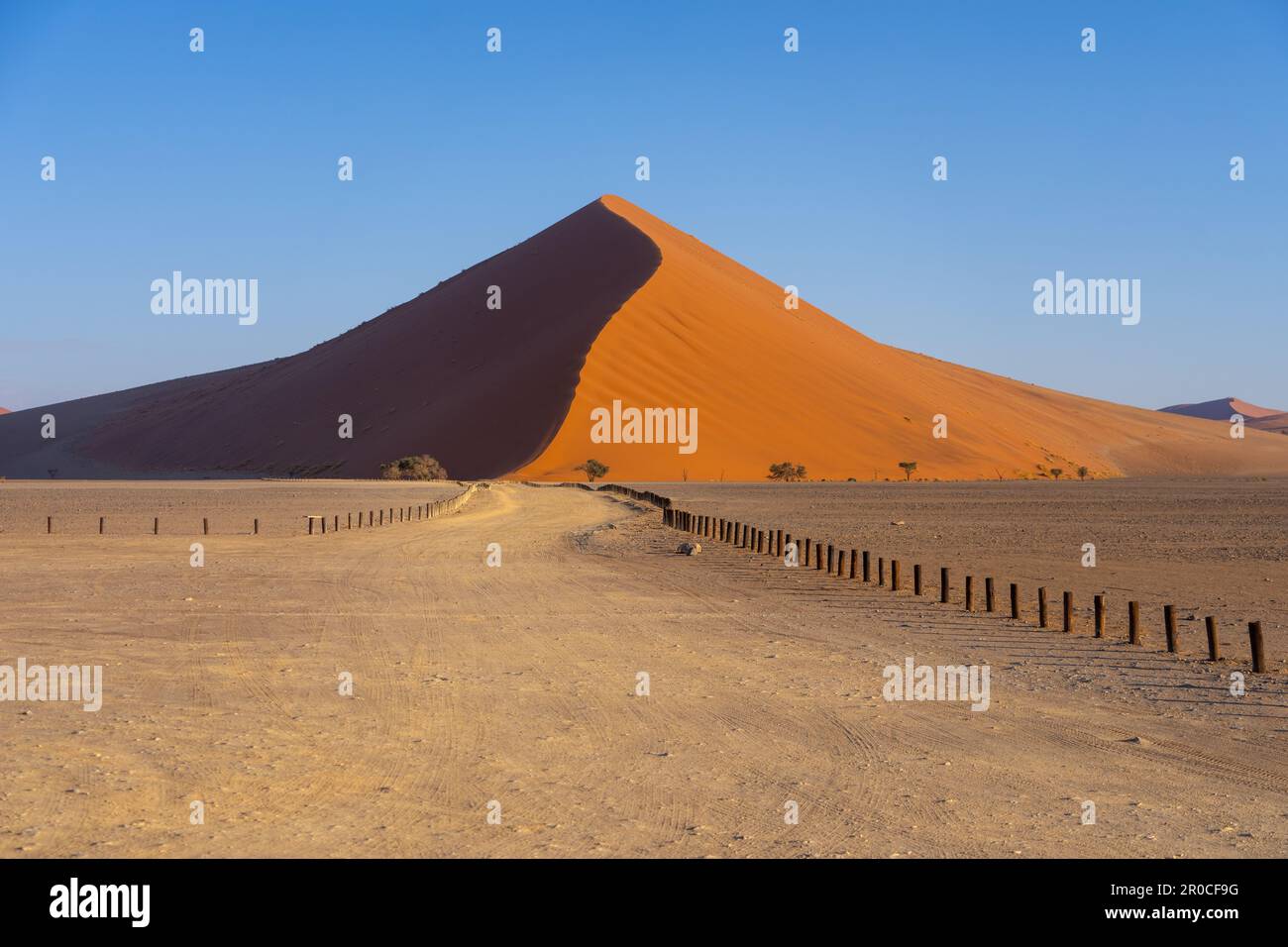 Le dune di sabbia rossa, Sossusvlei, Namib-Naukluft National Park, Namibia. Il colore rosso è un'indicazione dell'età di questa duna come è causata dal Foto Stock