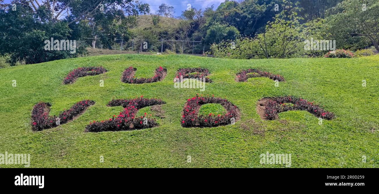 San Ramon, Costa Rica - 'pura Vida,' un caratteristico slogan costaricano, sta crescendo sul terreno del ristorante El Jardin. Tradotto letteralmente Foto Stock