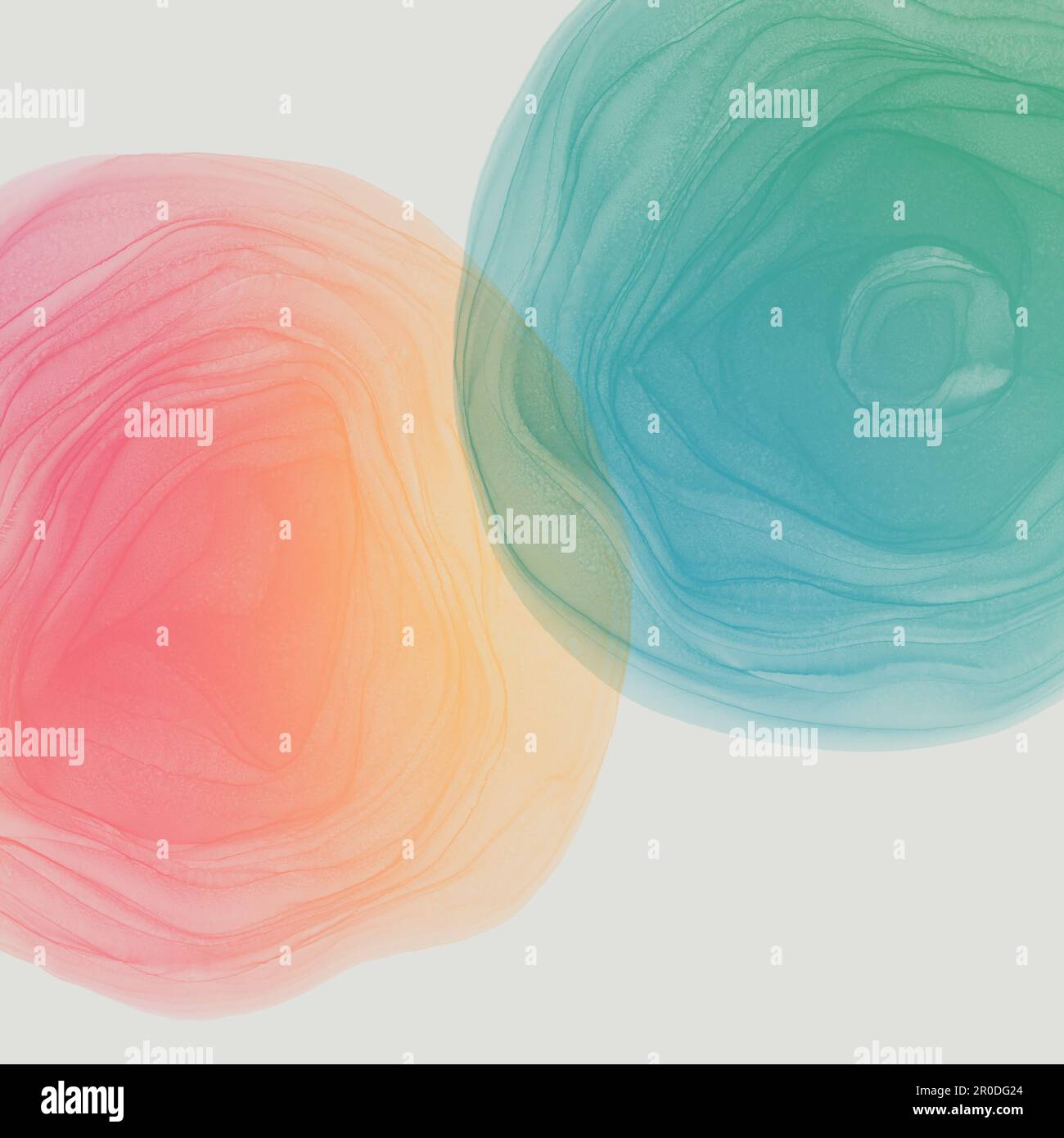 Sfondo astratto a gradiente di inchiostro alcolico. Due vortici rotondi intersecanti. Concetto di comunicazione calda. Sagoma quadrata. Rosa e verde Foto Stock