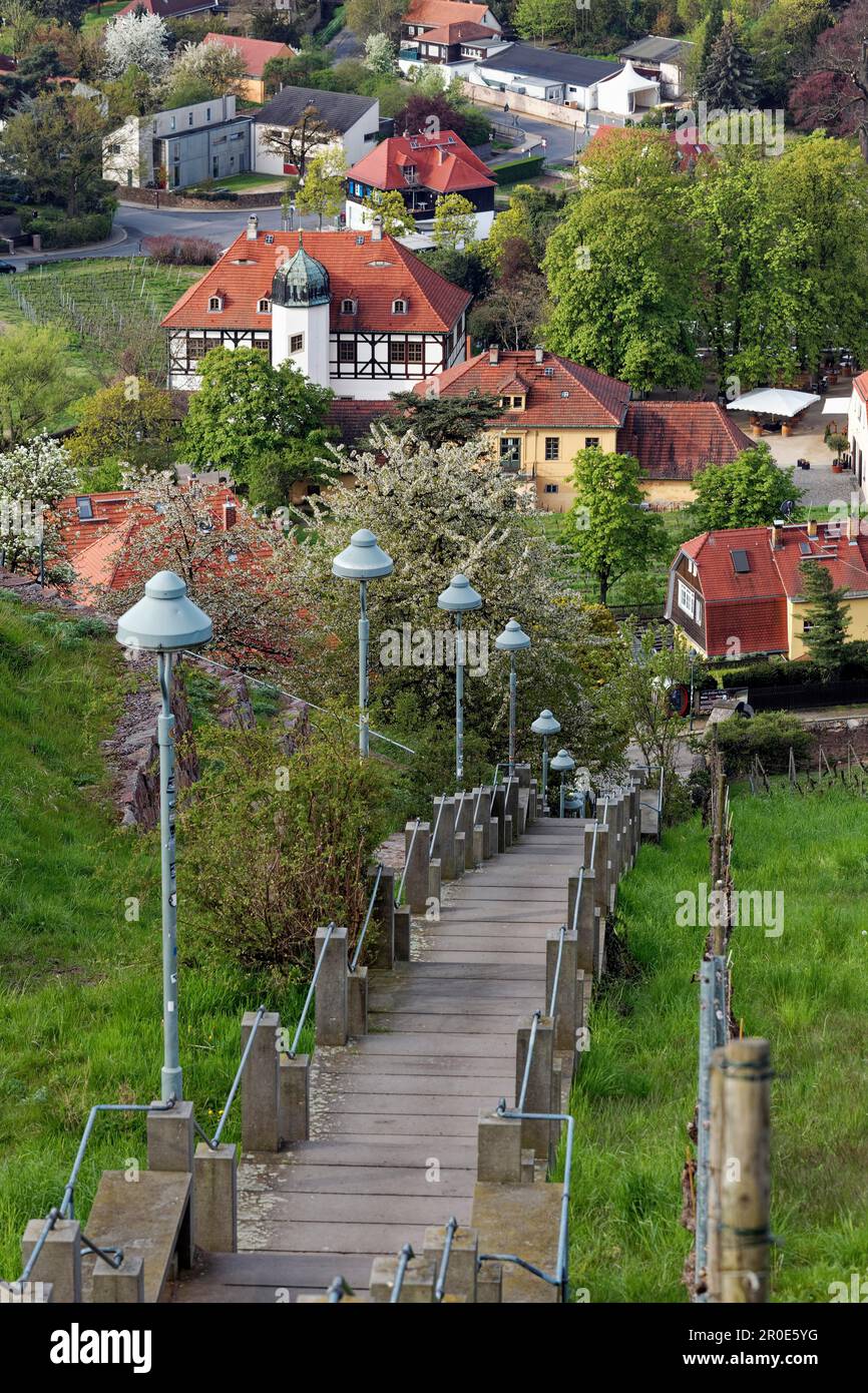 Scala Spitzhaus, scala ripida dalla cantina Hofloessnitz alla Spitzhaus, paesaggio viticolo Oberloessnitz, Radebeul, Sassonia, Germania Foto Stock