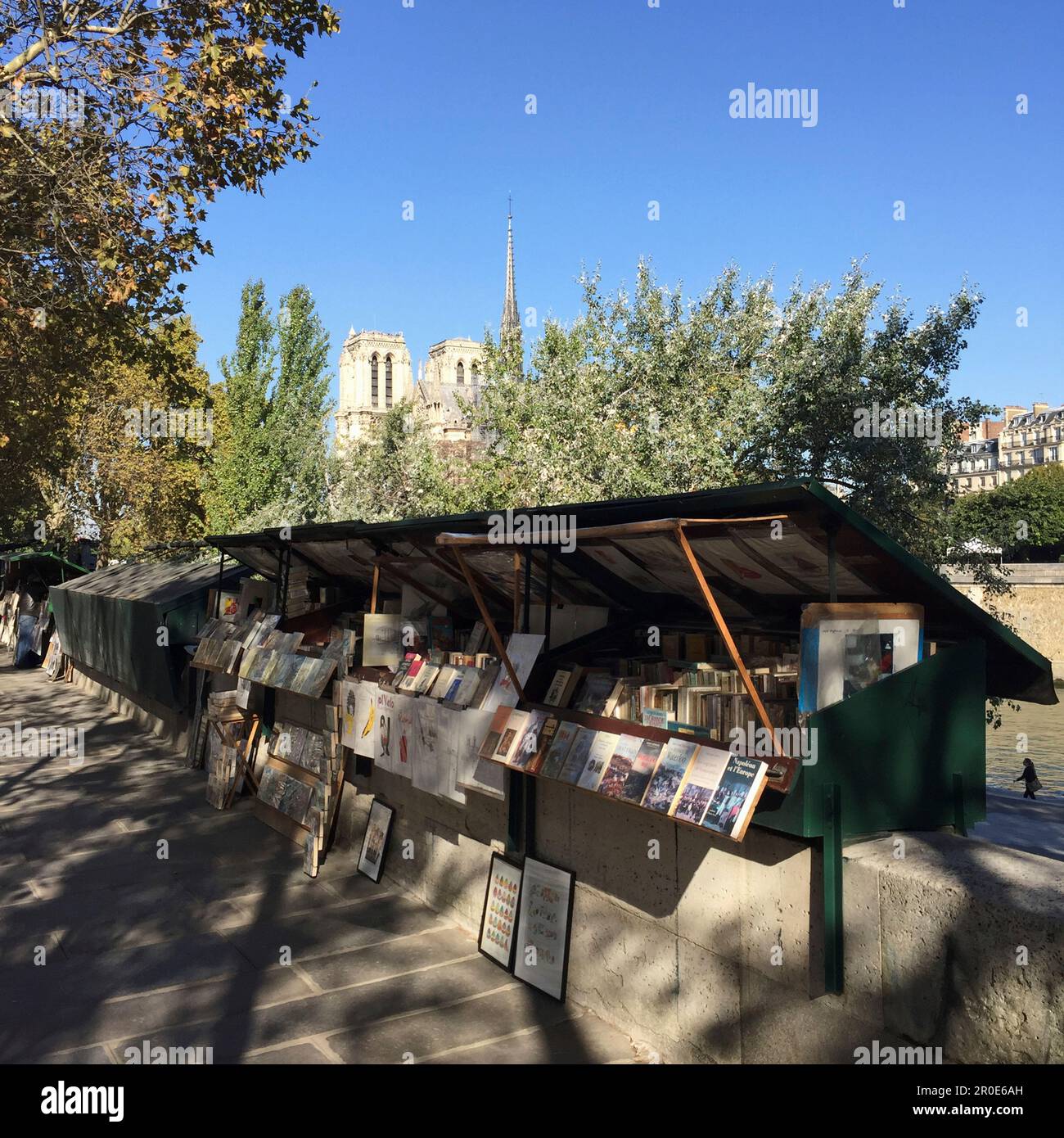 Una bancarella di libri sulla riva della Senna con la cattedrale di Notre Dame sullo sfondo, Parigi, Francia Foto Stock