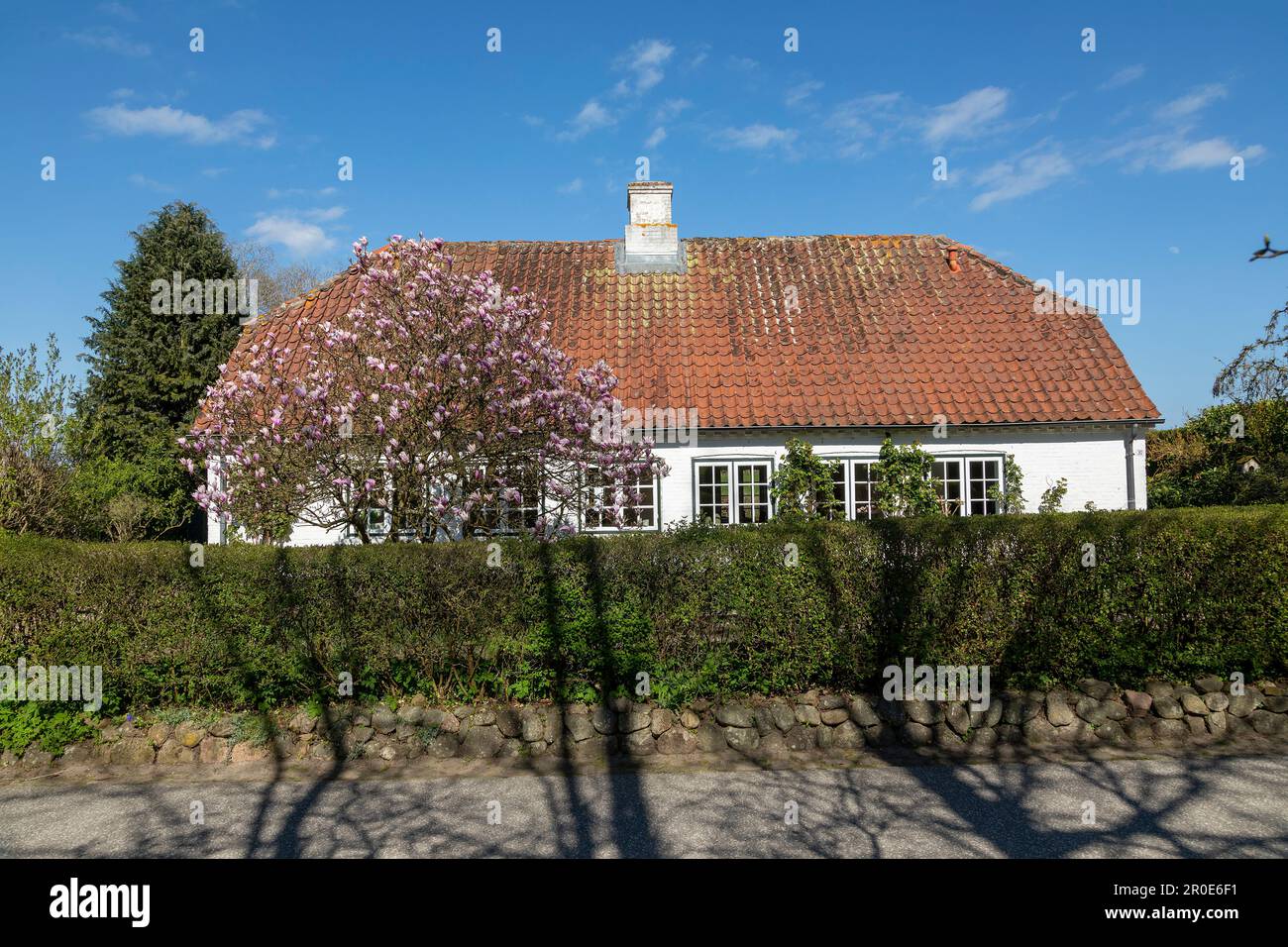 Casa, siepe, alberi, Sieseby, Schlei, Schleswig-Holstein, Germania Foto Stock