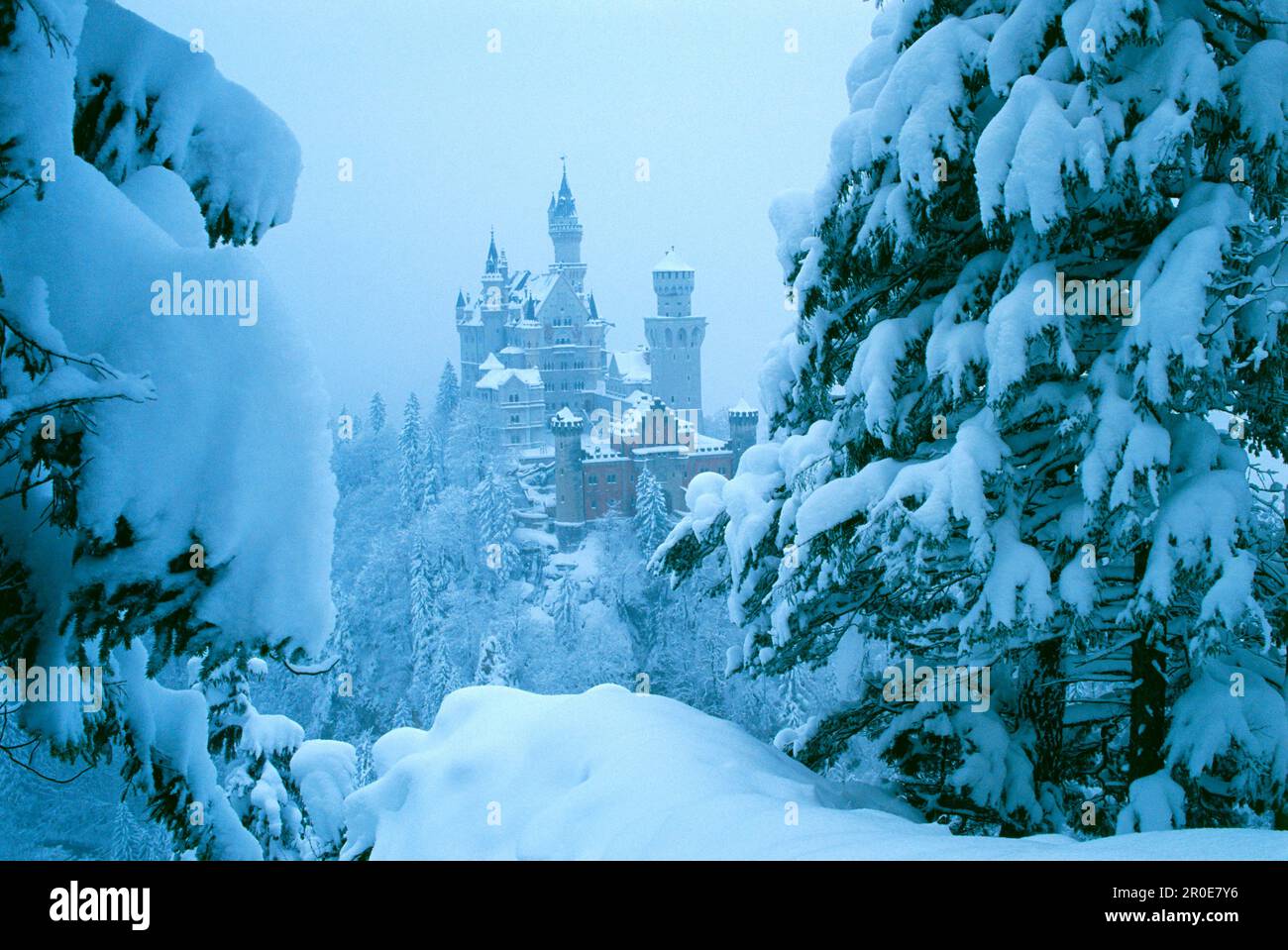 Castello di Neuschwanstein in inverno, Allgaeu, Baviera, Germania Foto Stock