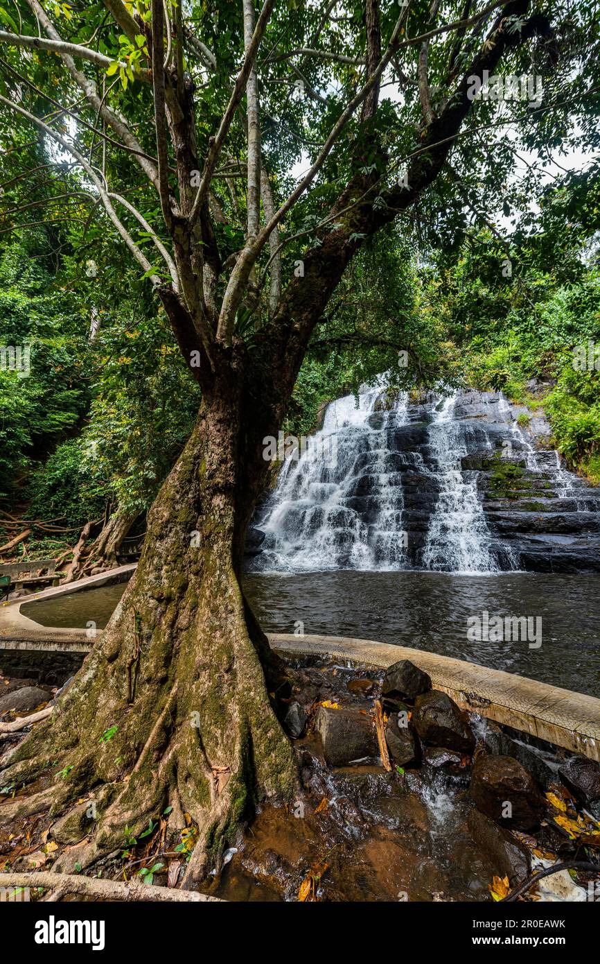 Le cascate dell'uomo, Costa d'Avorio Foto Stock
