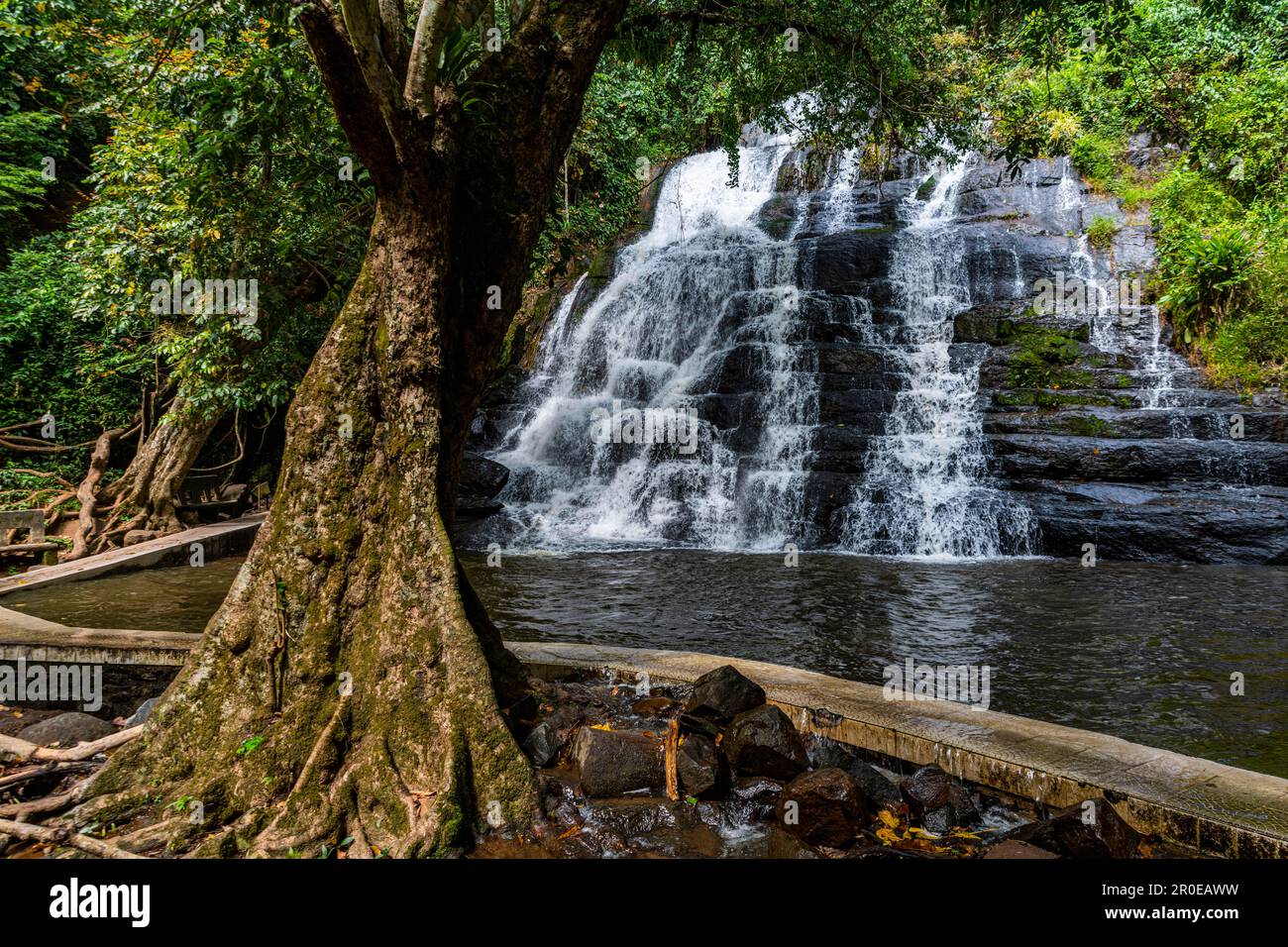 Le cascate dell'uomo, Costa d'Avorio Foto Stock