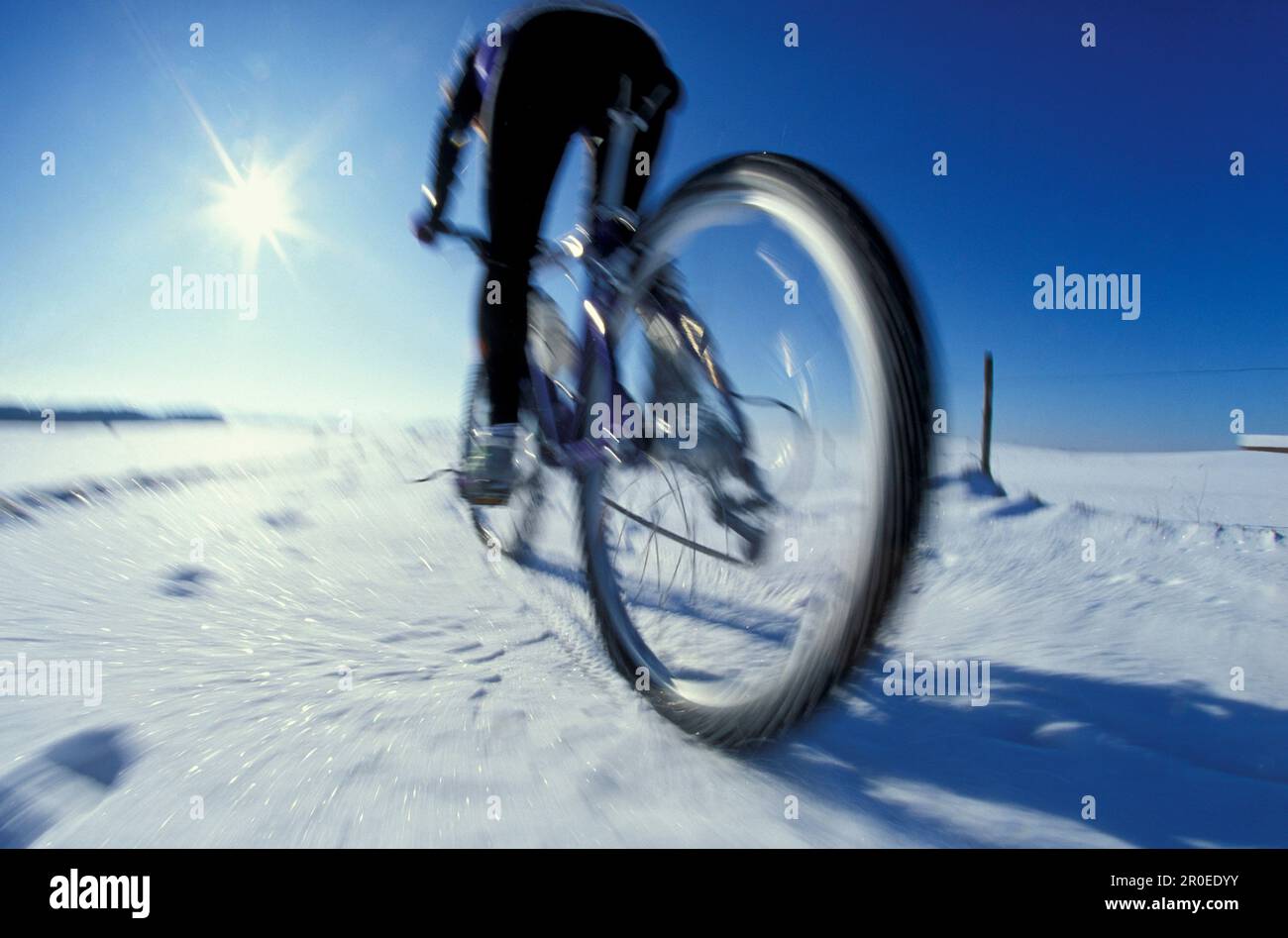 Mountain Biker nella neve, alta Baviera, Germania Foto Stock
