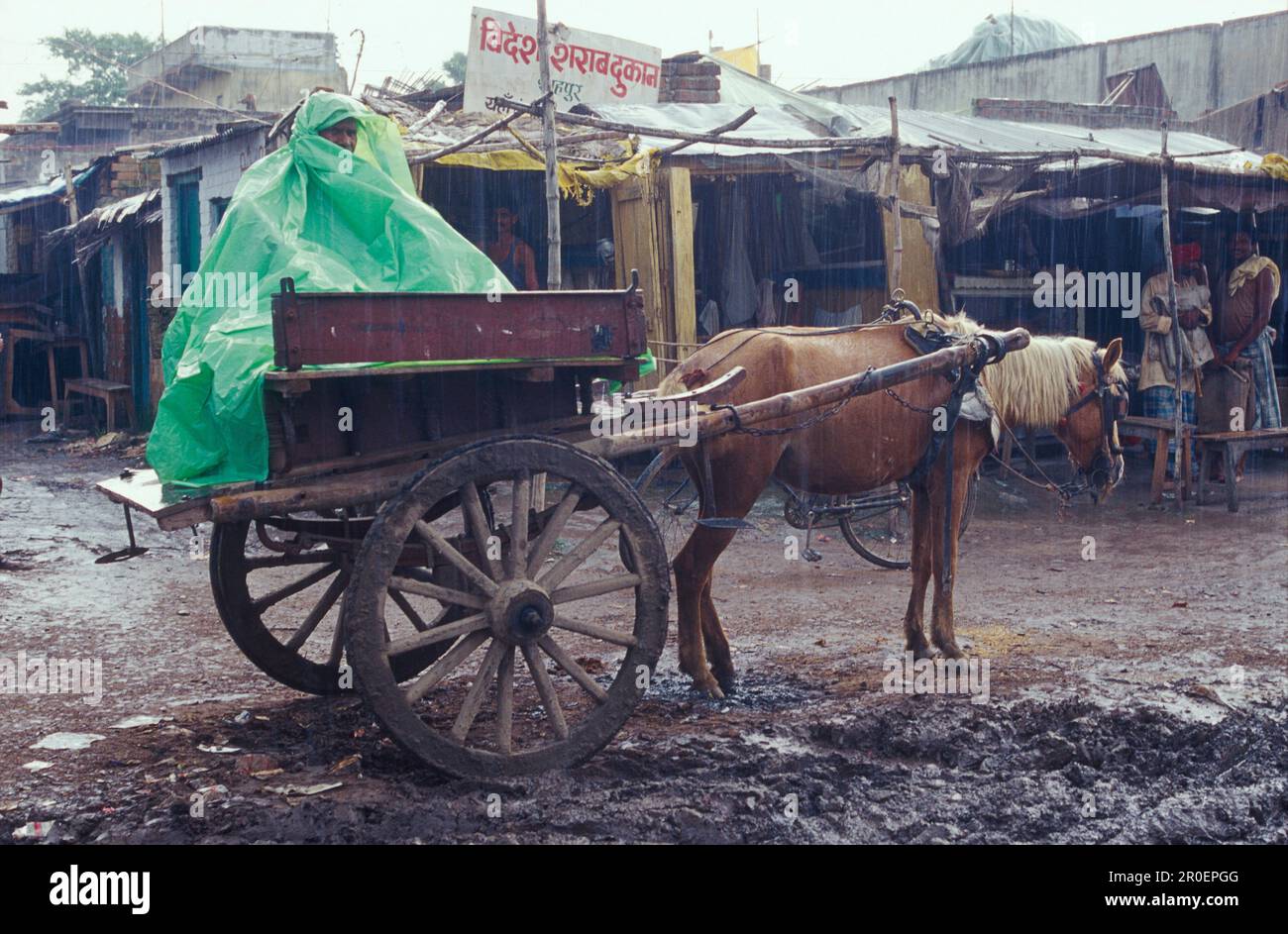 Pullman, telone di plastica, monsone, vicino Muzaffarpur, Bihar, India Foto Stock