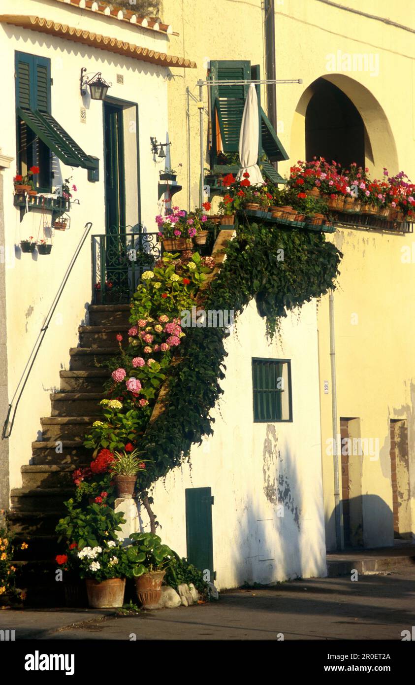 Treppe mit Blumen, Marciana Marina, Insel Elba Toskana, Italien Foto Stock