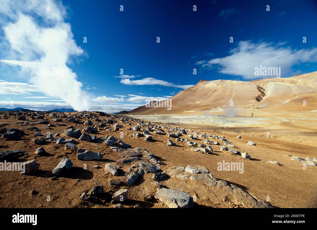 Geothermisches Feld Namaskard, isola di Suedlich des Myvatn Foto Stock