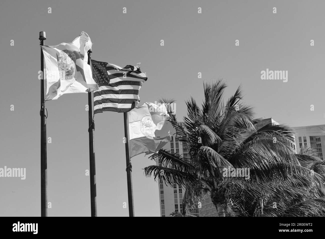Bandiere degli Stati Uniti, della Florida e di Miami che ondeggiano sui flagpoli sul cielo blu Foto Stock