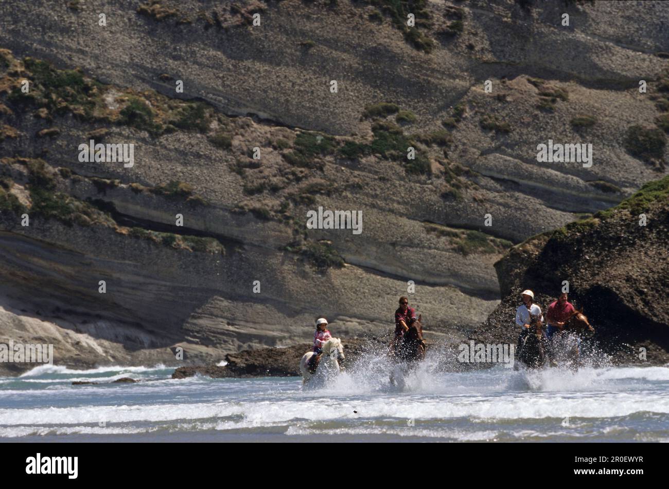 Persone che cavalcano di fronte alle scogliere a Wharariki Beach, Nuova Zelanda, Oceania Foto Stock