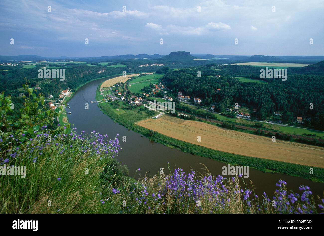 Elba, Rathen, Lilienstein, Parco Naturale, Svizzera sassone, Elbsandsteingebirge, Sassonia, Germania Foto Stock