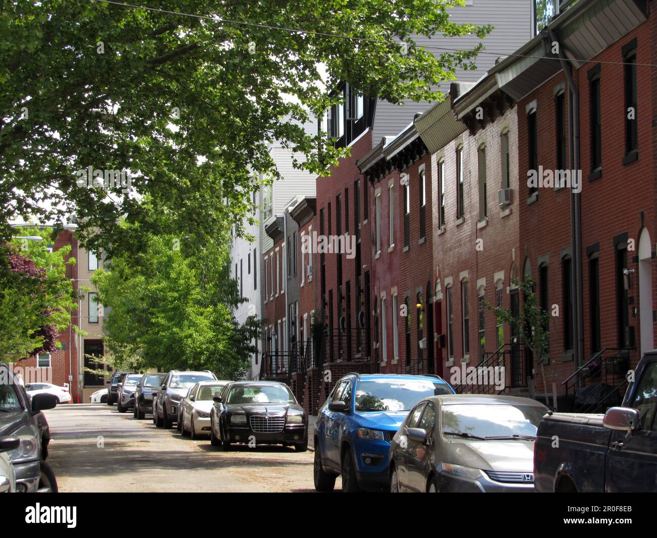 Trees ombreggiano un isolato di rowhomes in West Stiles Street a Filadelfia, in zona Brewerytown. Foto Stock