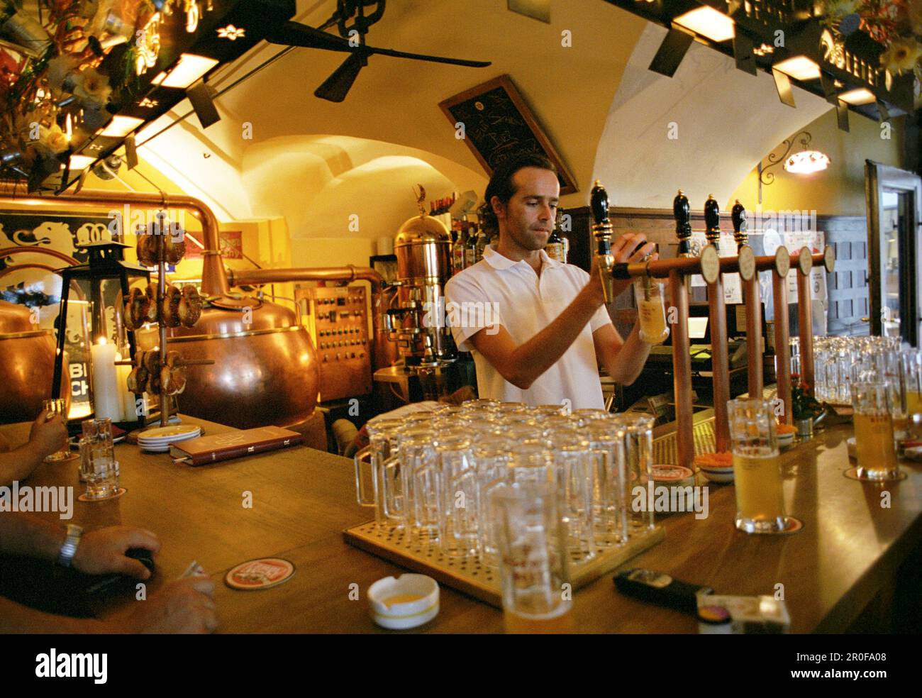 Barista che versa la birra, Hopfen Pub, Bolzano, Alto Adige, Italia Foto Stock