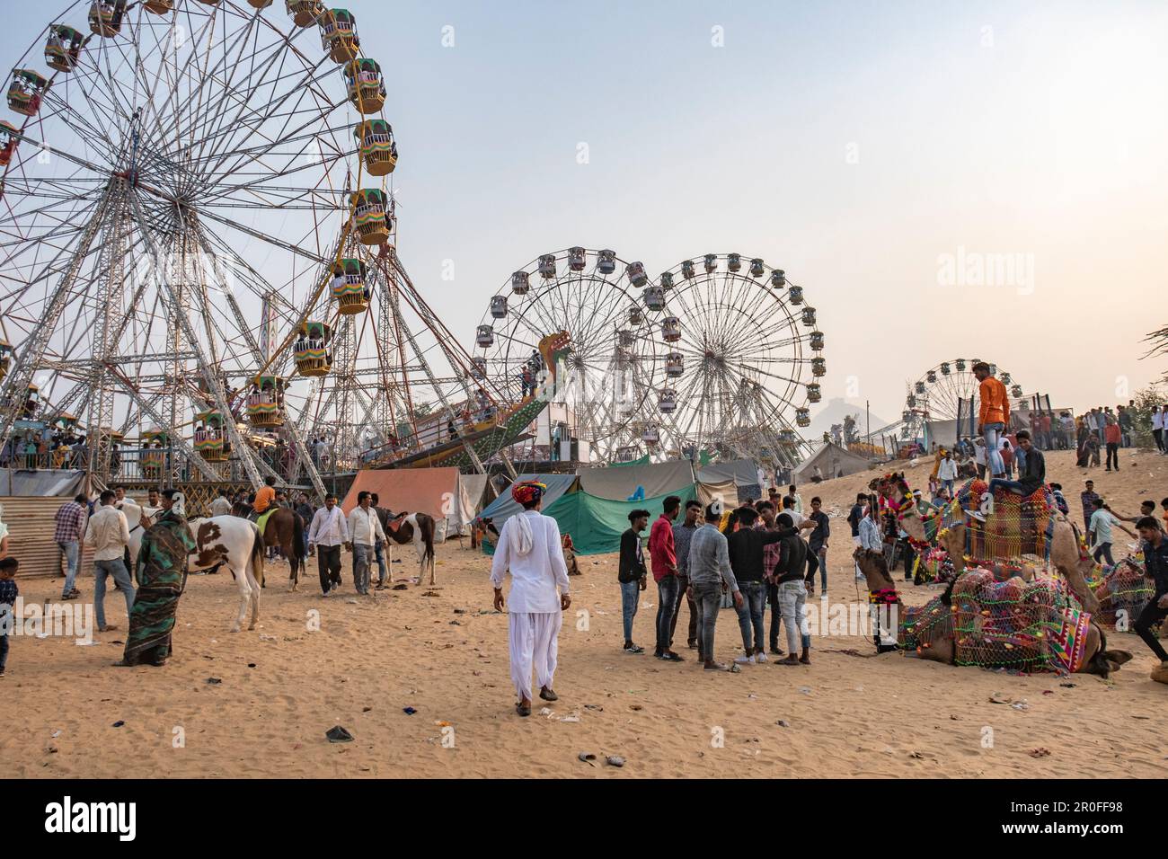 Dietro le quinte della fiera del cammello di Pushkar, Pushkar, Rajasthan, India Foto Stock