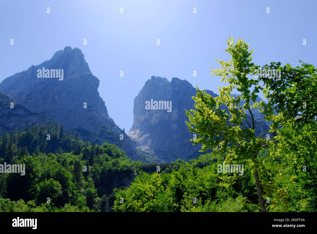 Vista sulle montagne Predigtstuhl e Fleischbank con Steinerne Rinne, Kaiser range, Tirolo, Austria Foto Stock