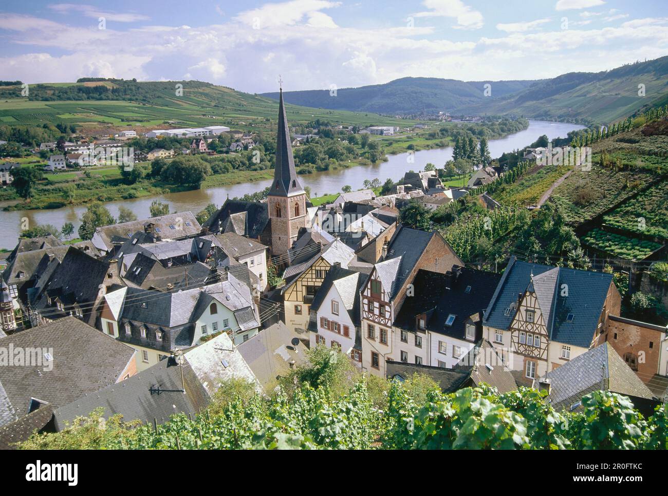 Villaggio del vino Urzig, Mosel-Saar-Ruwer, Renania-Palatinato, Germania Foto Stock
