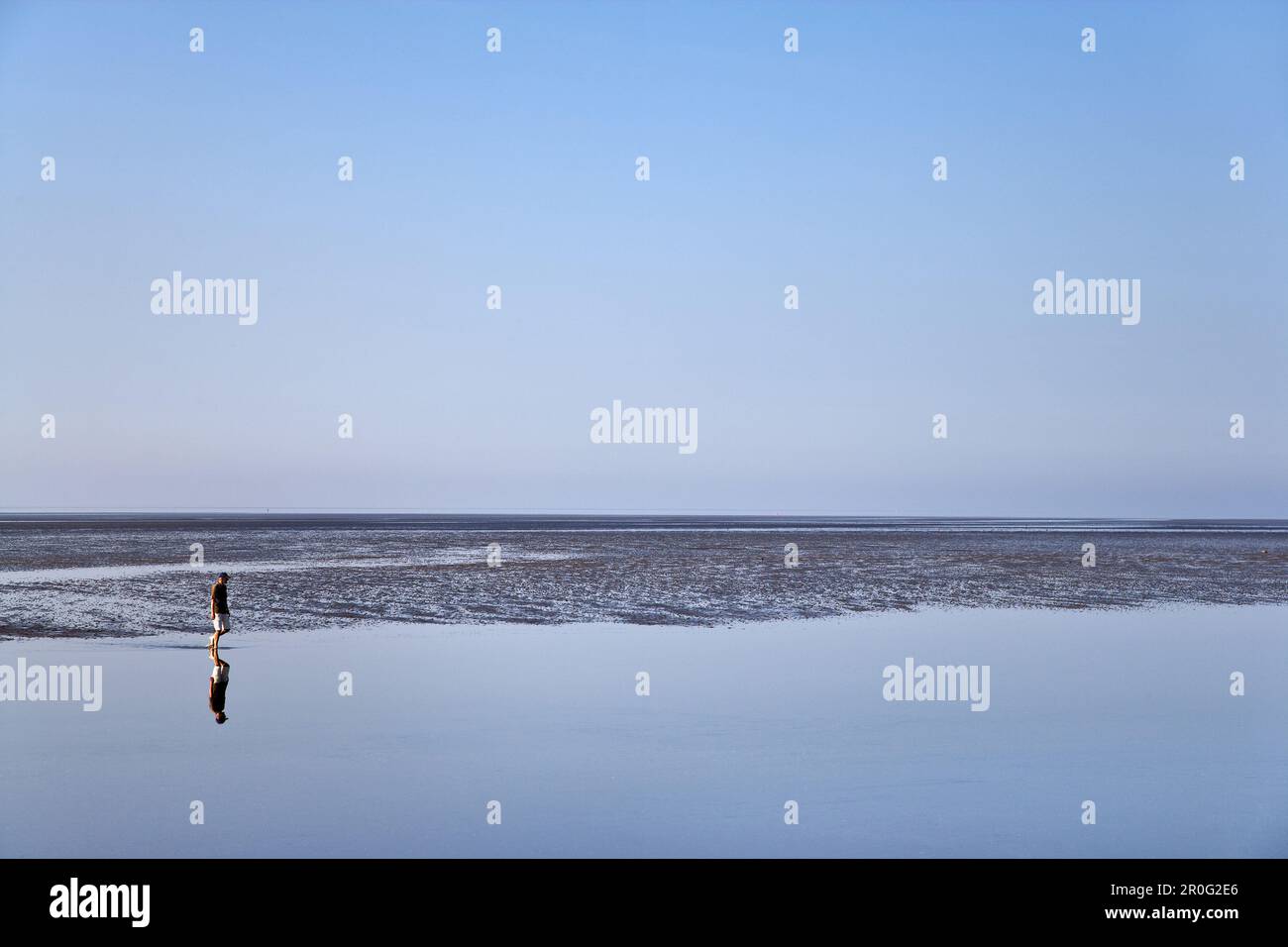 Persona che cammina attraverso il mudflat, l'isola di Pellworm, Schleswig-Holstein, Germania Foto Stock
