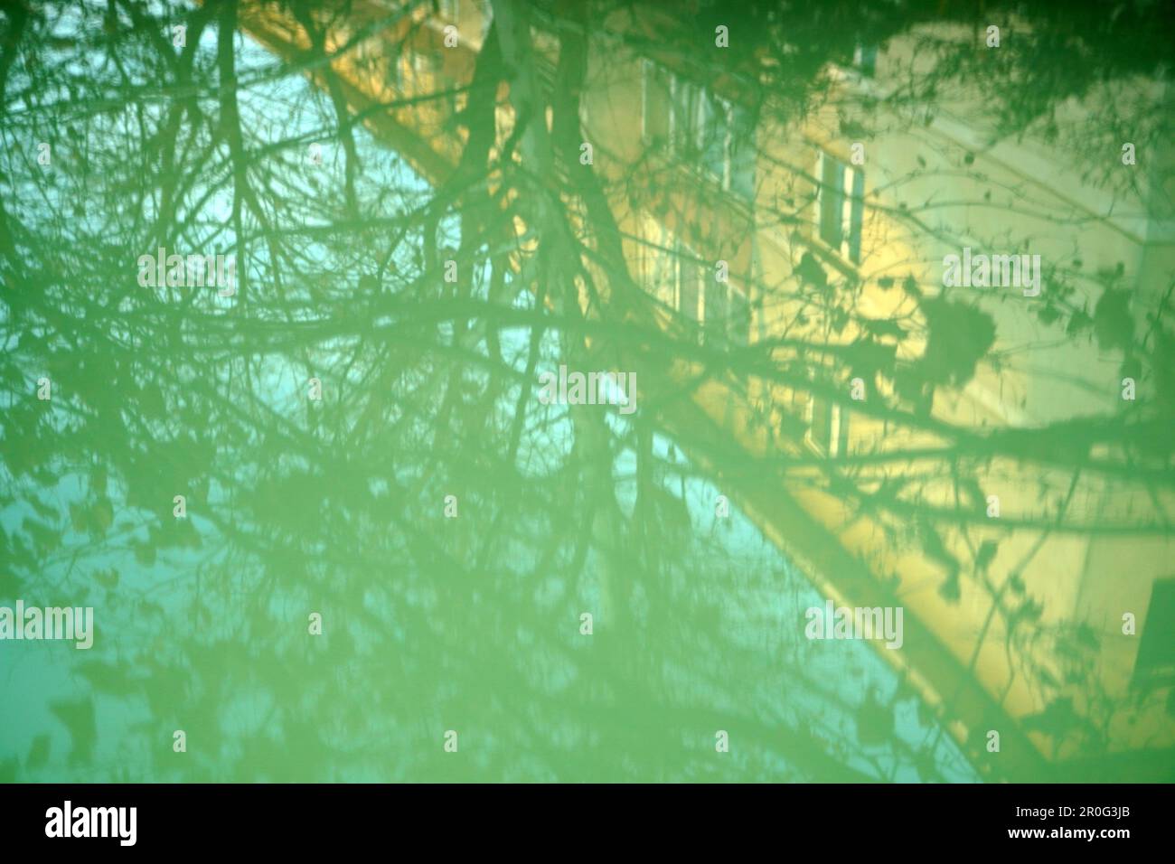 Riflessione della costruzione di appartamenti e rami d'albero sulla superficie del cofano Foto Stock