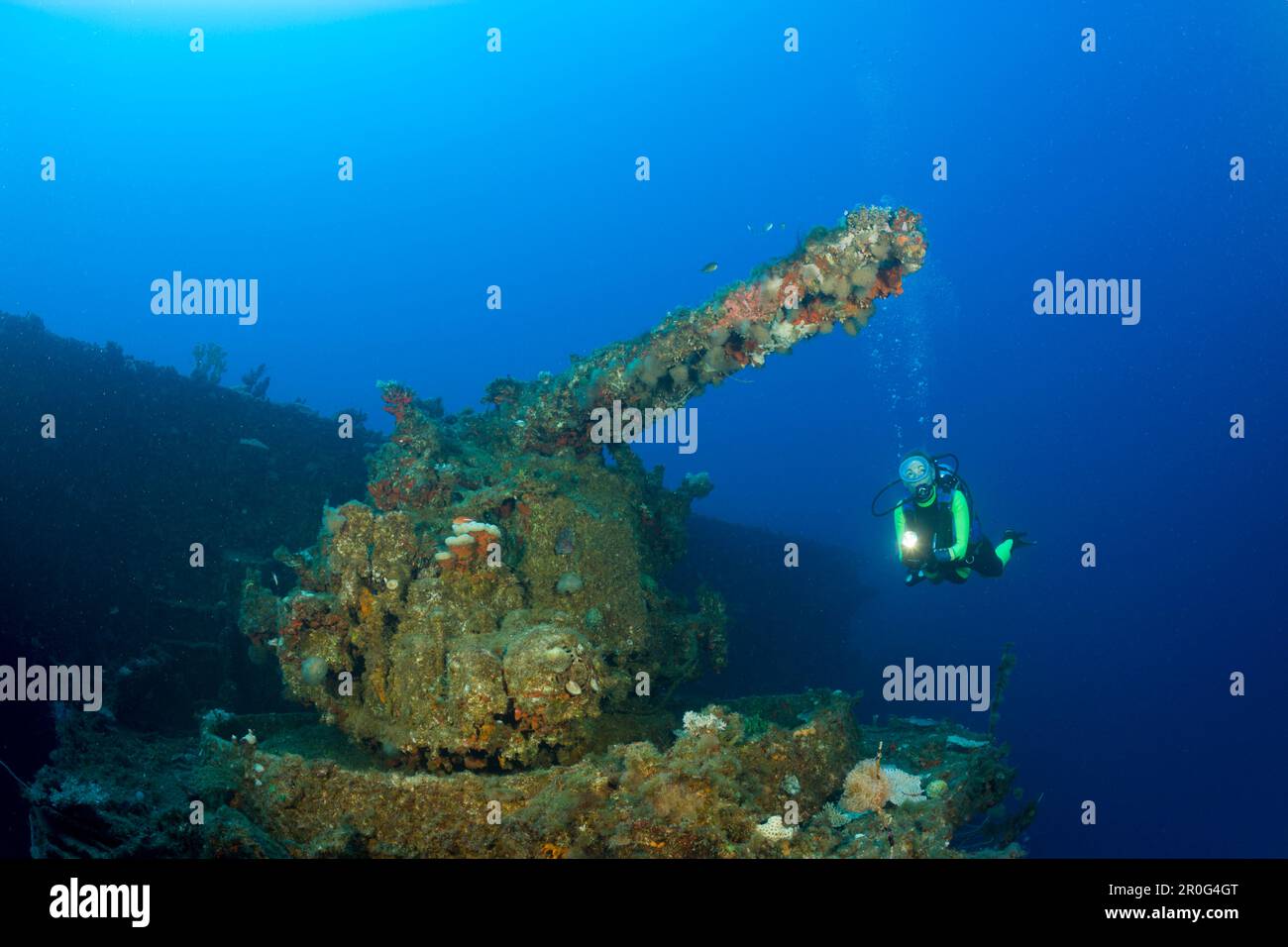 Tuffati nella pistola da 5 pollici di USS Saratoga, Isole Marshall, Atollo Bikini, Micronesia, Oceano Pacifico Foto Stock