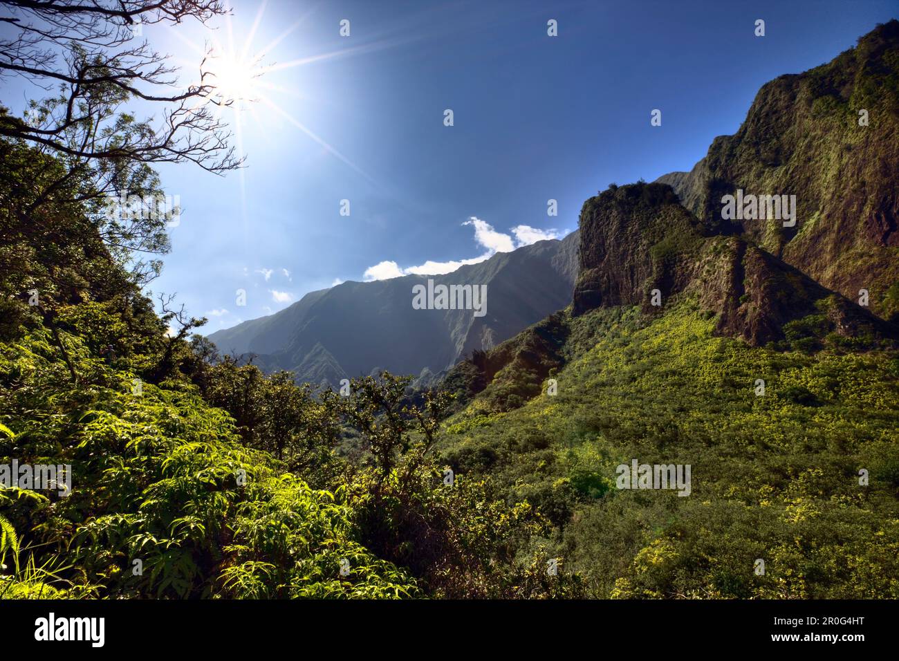 IAO Needle al Kepaniwai County Park, Iao Valley, Maui, Hawaii, USA Foto Stock