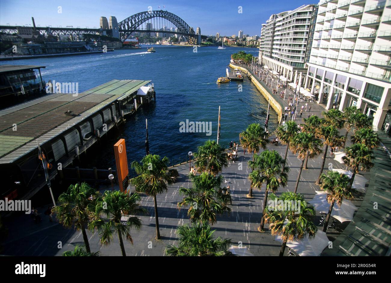 Ammira le palme al piano di atterraggio per Harbour Bridge, Circular Quay, Sydney, New South Wales, Australia Foto Stock