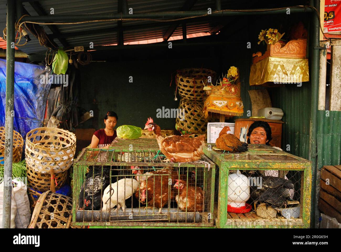 Venditori presso le loro bancarelle al mercato centrale Pasar Badung, Denpasar, Bali, Indonesia, Asia Foto Stock