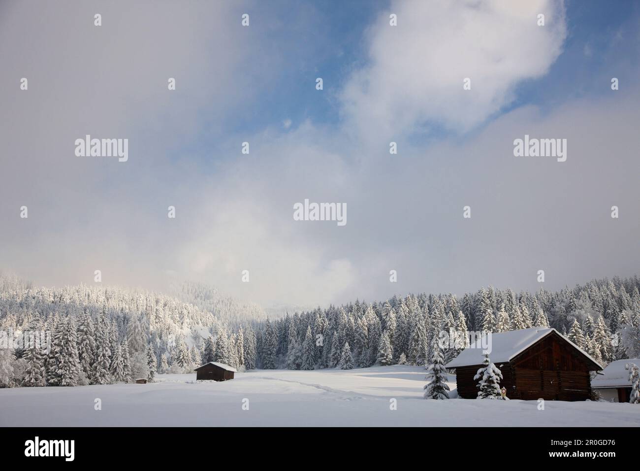 Cabine di tronchi innevate, Flims Laax, Canton Grigioni, Svizzera Foto Stock