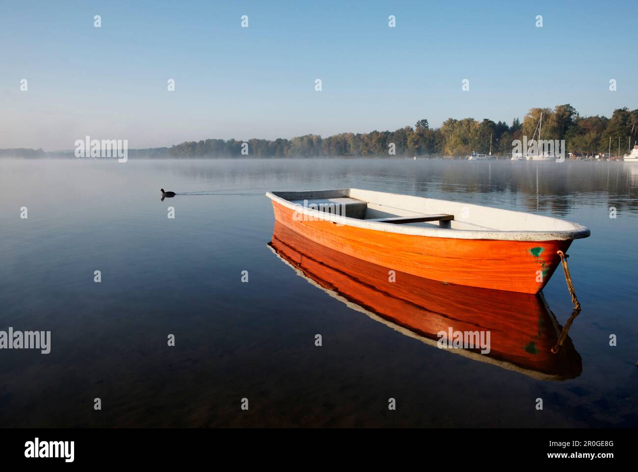 Barca sul lago Scharmuetzelsee, Bad Saarow, Land Brandenburg, Germania Foto Stock