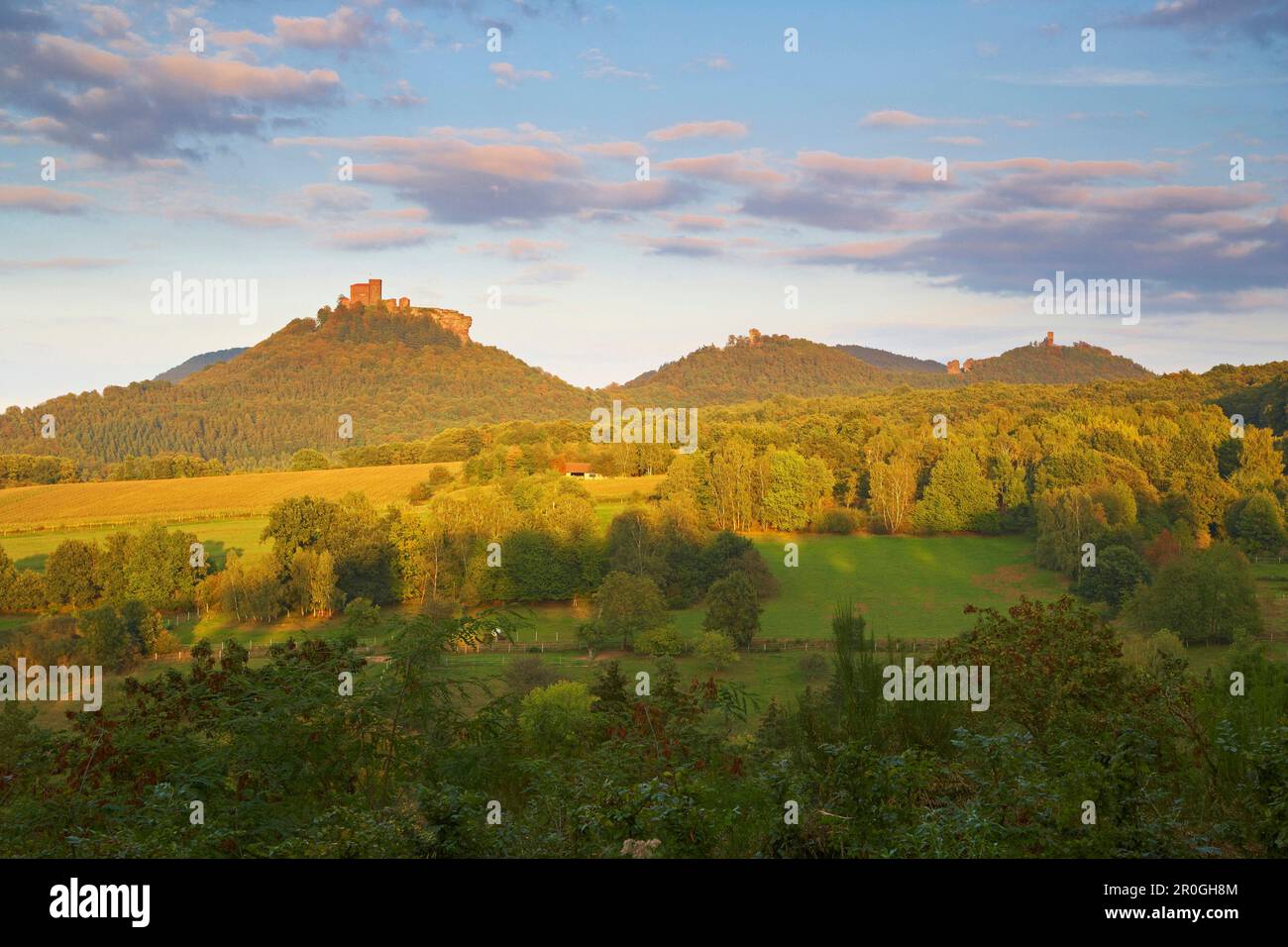 Castello di Trifels, Castello di Anebos, Castello di Scharfenberg, Annweiler, Renania-Palatinato, Germania Foto Stock