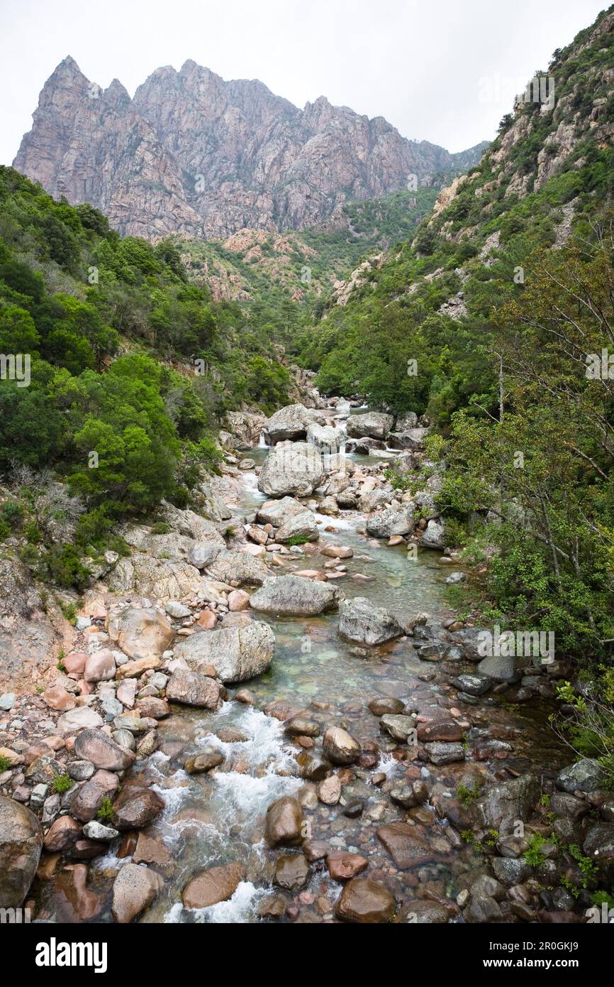 Gola Spelunca, fiume Porto vicino al villaggio di Ota, Corsica, Francia, Europa Foto Stock