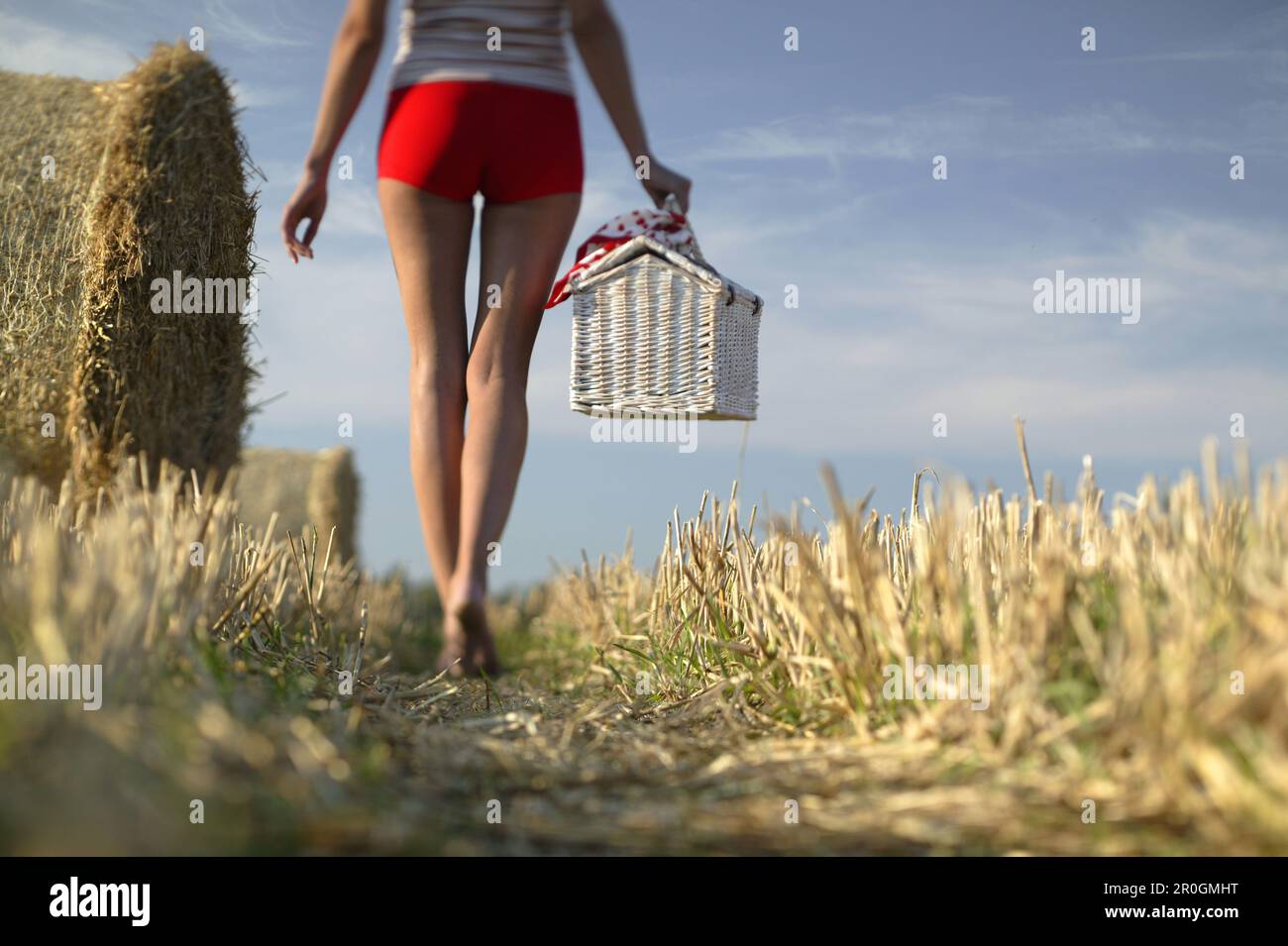 Giovane donna con cestino da picnic che cammina attraverso stubblefield Foto Stock