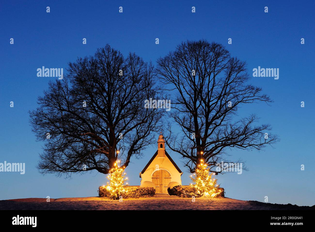 Cappella illuminata con due illuminata di alberi di Natale, il lago Chiemsee, Chiemgau, Alta Baviera, Baviera, Germania, Europa Foto Stock