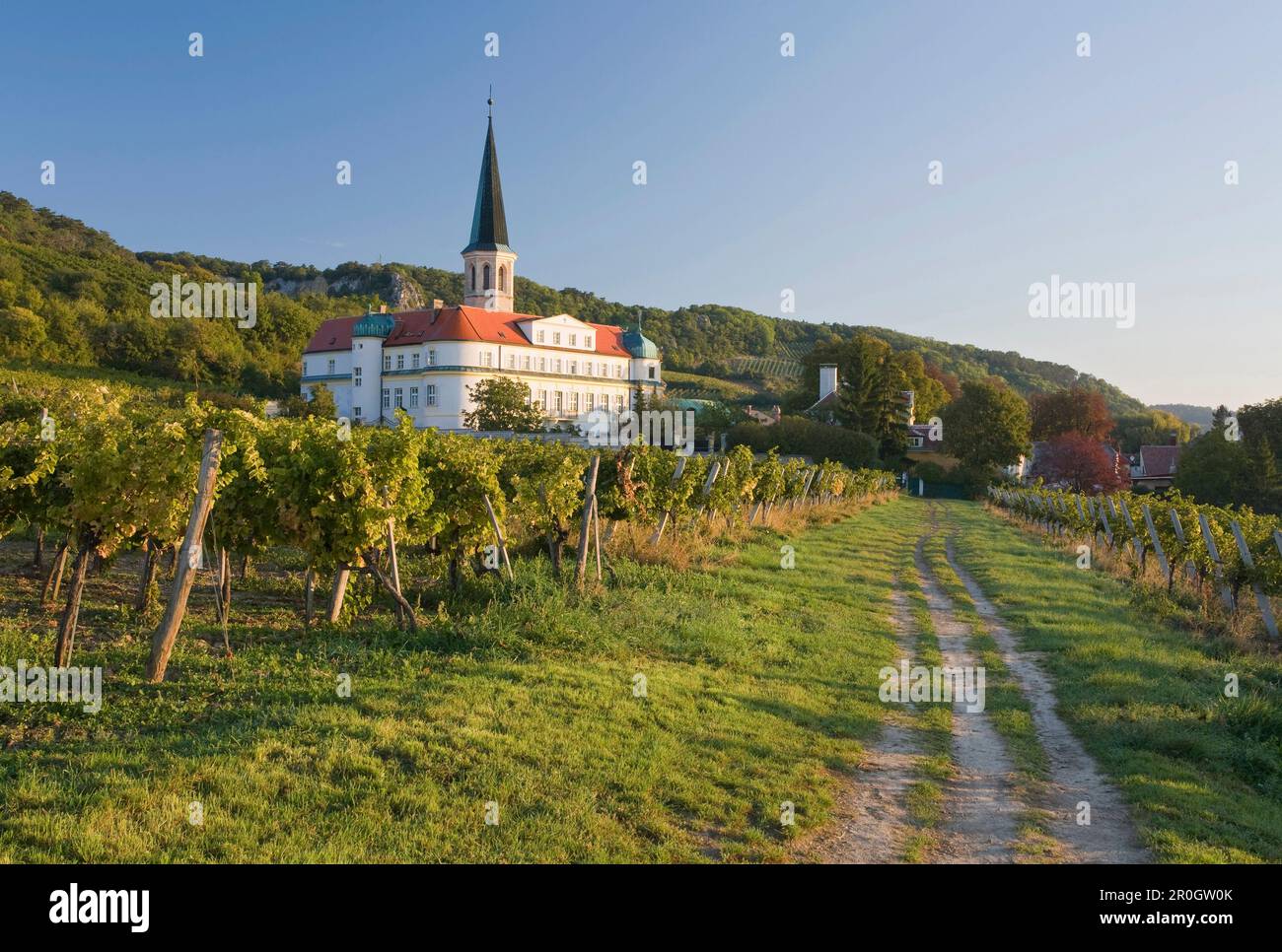 Vigna e monastero alla luce del sole, Gumpoldskirchen, bassa Austria, Austria, Europa Foto Stock