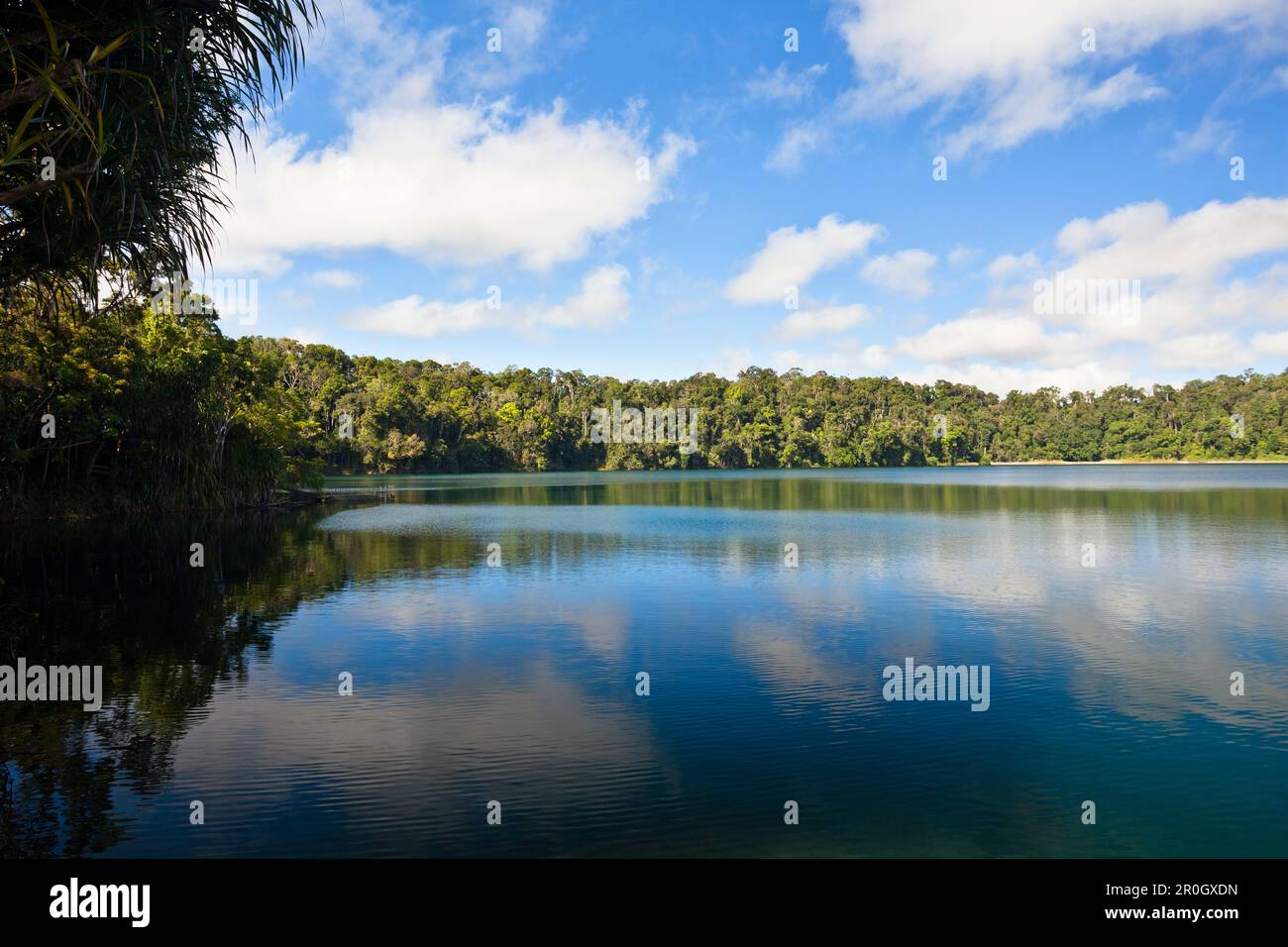 Lago Eacham, laghi cratere National Park, altopiano di Atherton, Queensland, Australia Foto Stock
