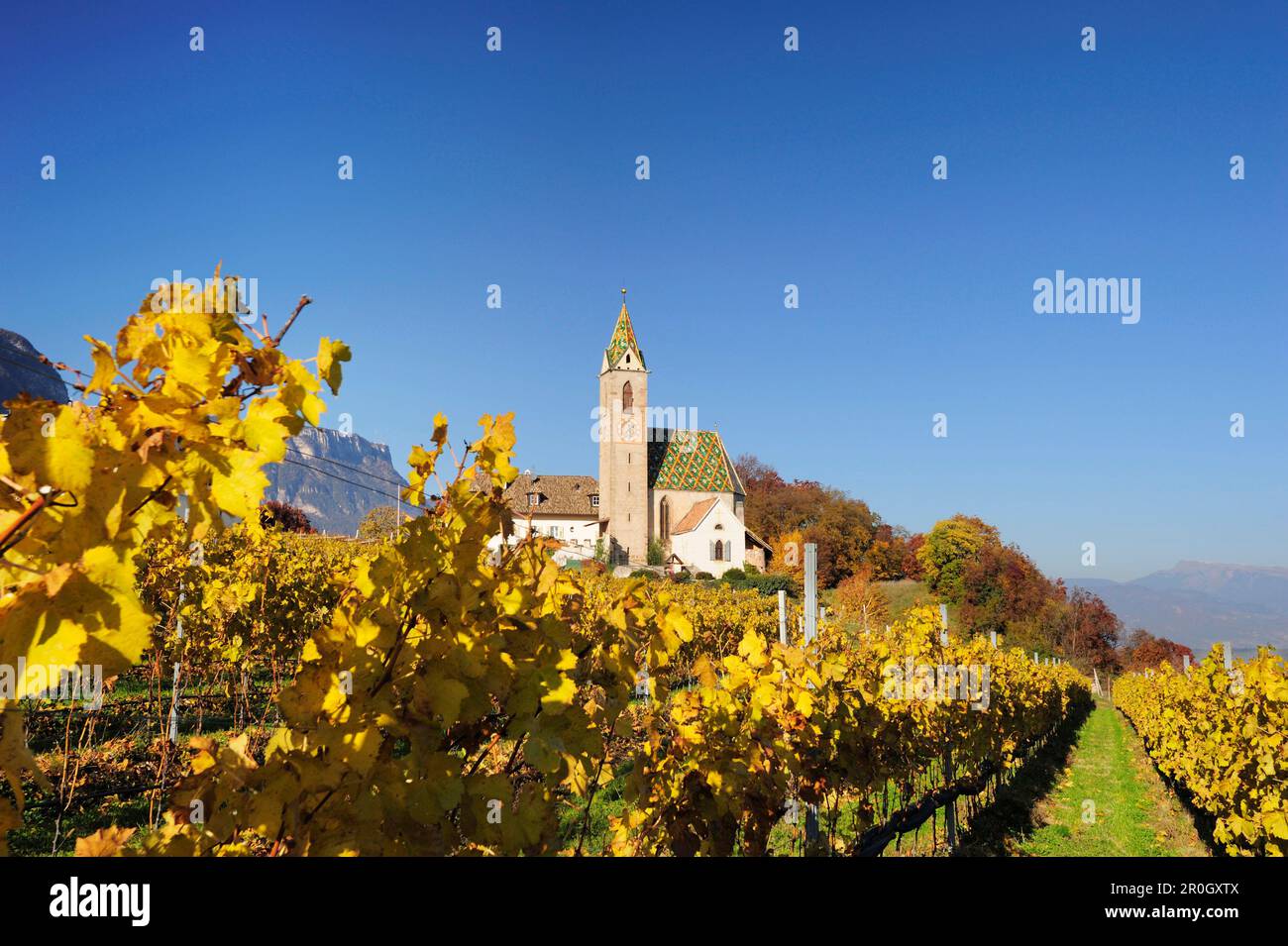 Chiesa di San Veglia nei vigneti nei colori autunnali, lago Kalterer See, Alto Adige, Italia, Europa Foto Stock