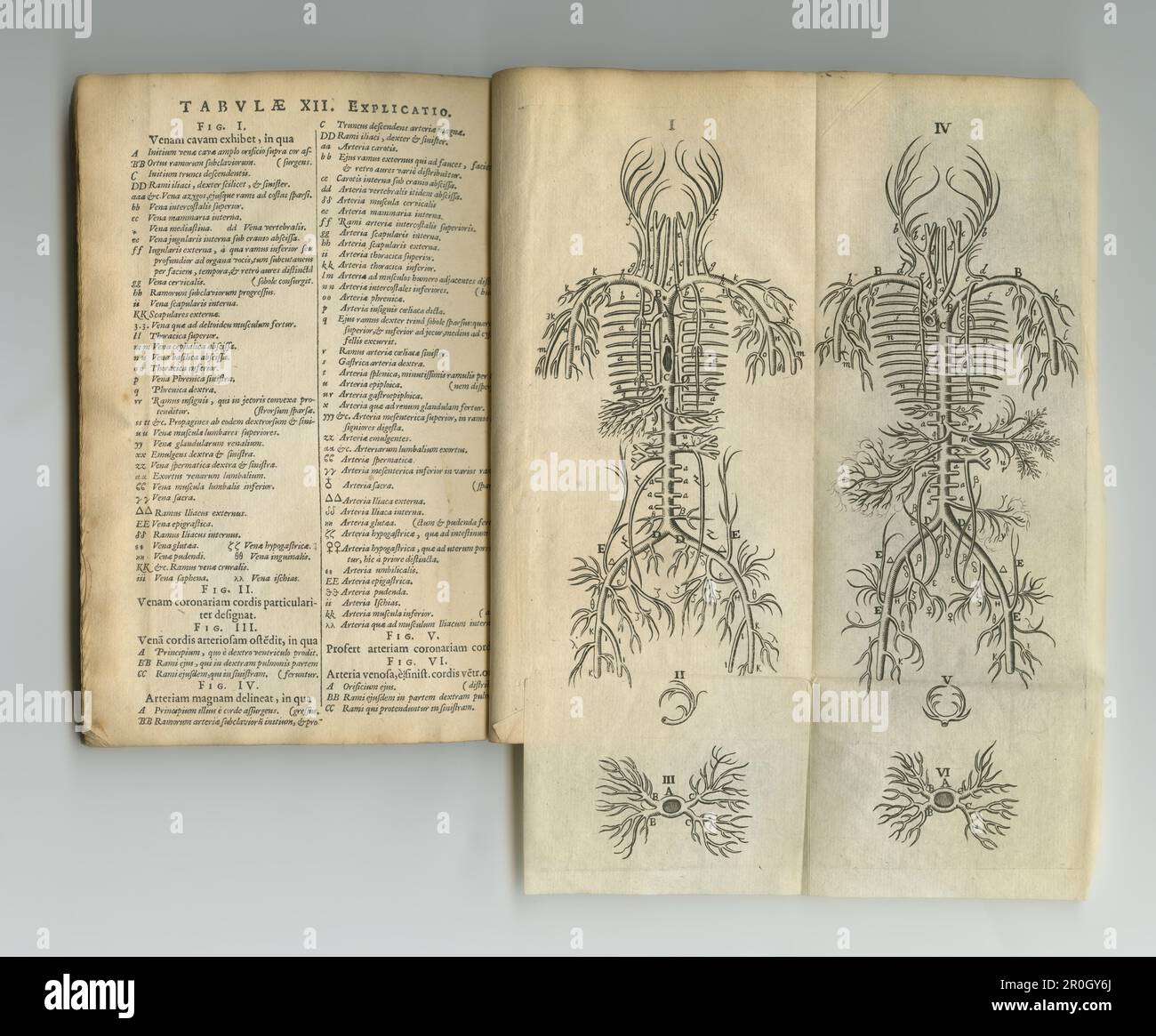 Libro di scienza vintage. Un vecchio libro di anatomia con le sue pagine visualizzate. Foto Stock
