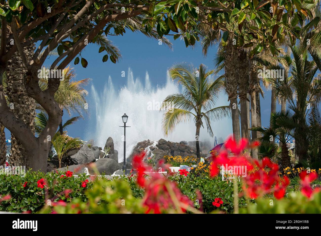 Particolare delle piscine Martianez disegnate da Cesar Manrique, Puerto de la Cruz, Tenerife, Isole Canarie, Spagna, Europa Foto Stock
