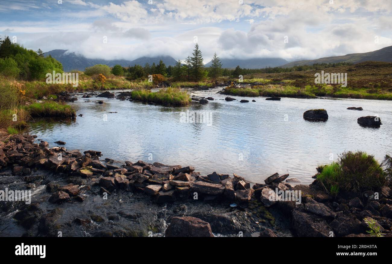 Splendido paesaggio con torrente, foresta e montagne sullo sfondo della riserva naturale di Derricyclare nel parco nazionale di Connemara, contea di Galway, Irlanda Foto Stock