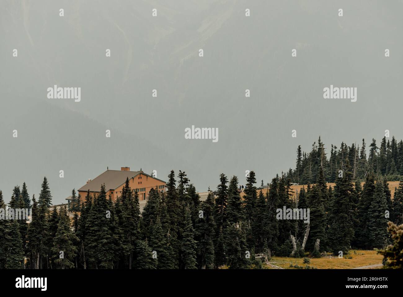 Washington, USA-14 settembre 2022: Vista ad angolo alto dell'Olympic National Park Hurricane Ridge Day Lodge, centro visitatori mesi prima che venisse bruciato fino a t. Foto Stock