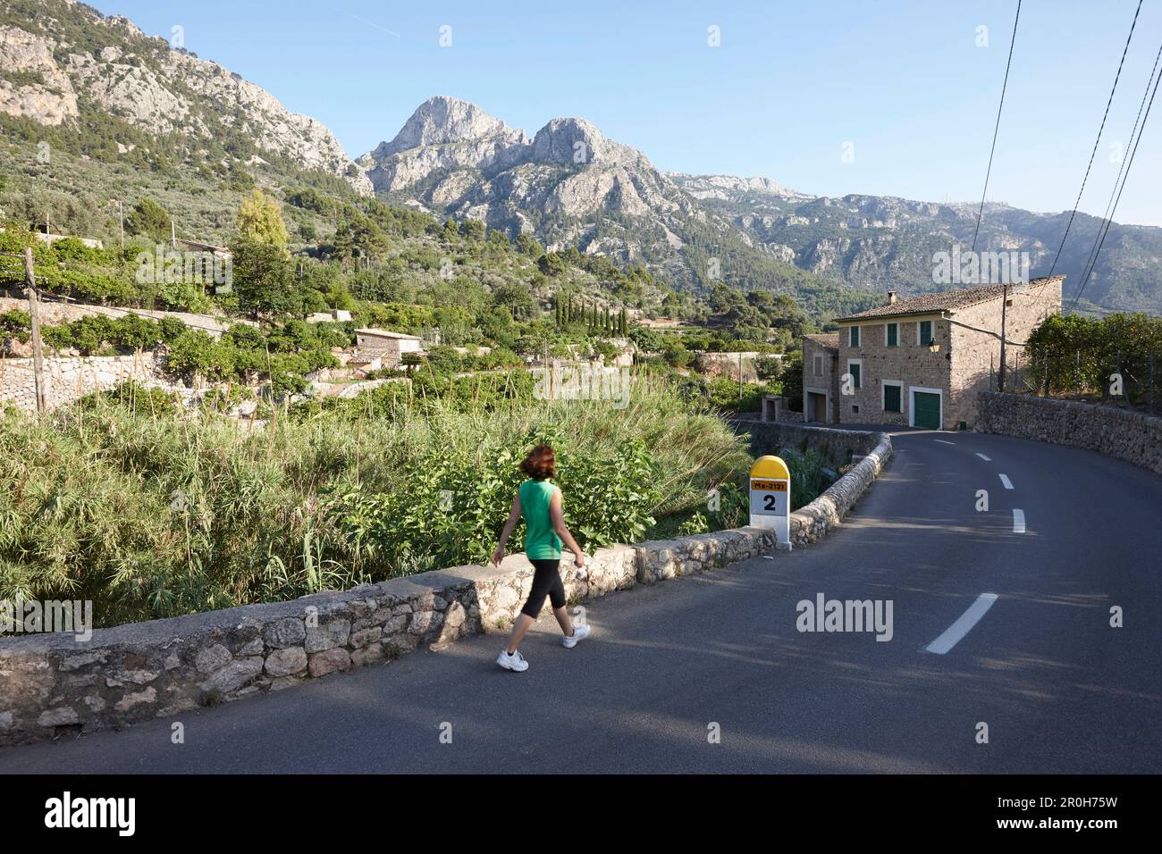 Strada ma-2121 vicino a Fornalutx con campi terrazzati in direzione della valle di Soller, montagne Tramuntana, Maiorca, Isole Baleari, Spagna Foto Stock