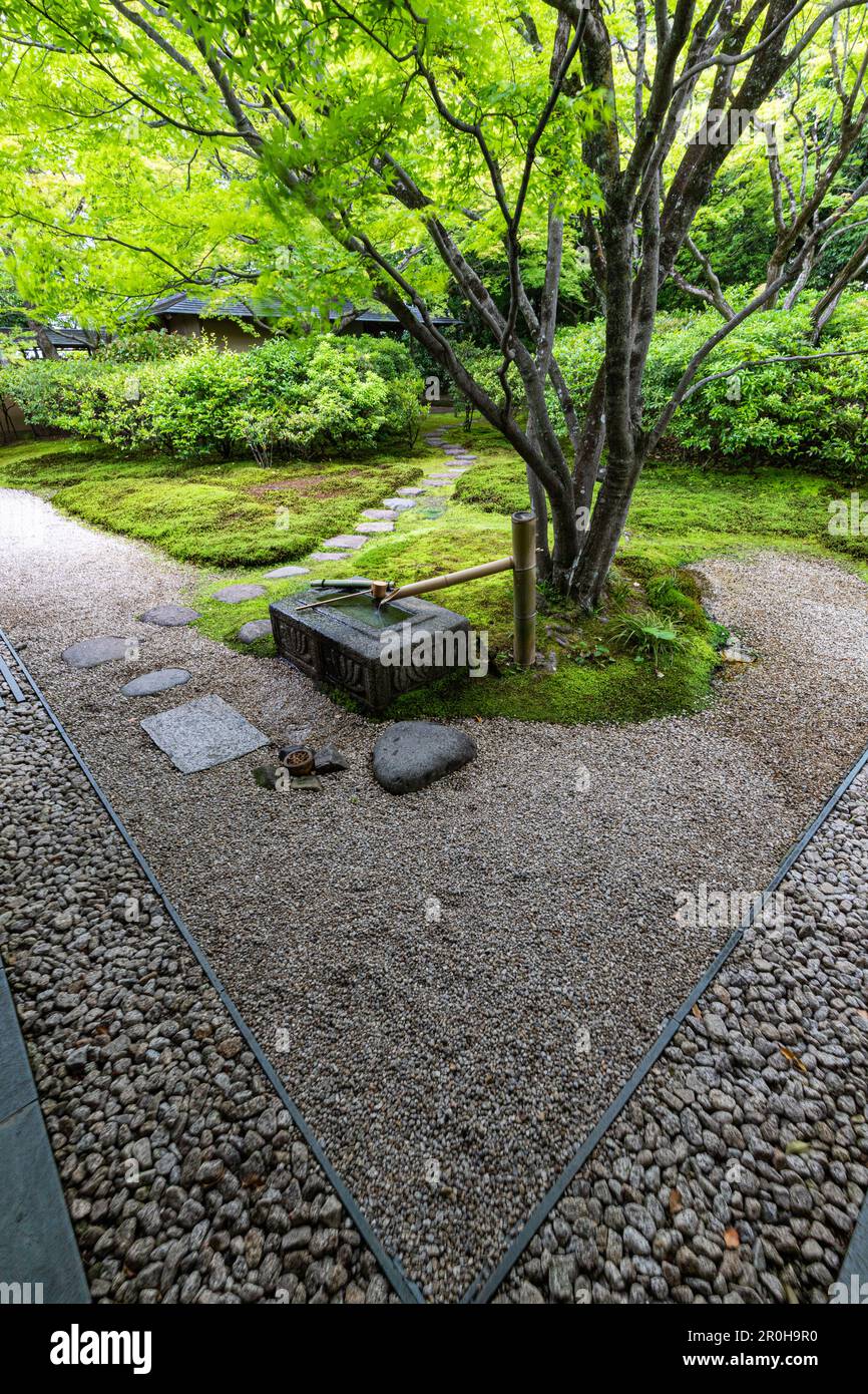 Doji-en al Toyota Municipal Museum of Art - un museo d'arte che ha aperto nel 1995 a Toyota City. L'edificio è stato progettato da Yoshio Taniguchi uno dei Foto Stock