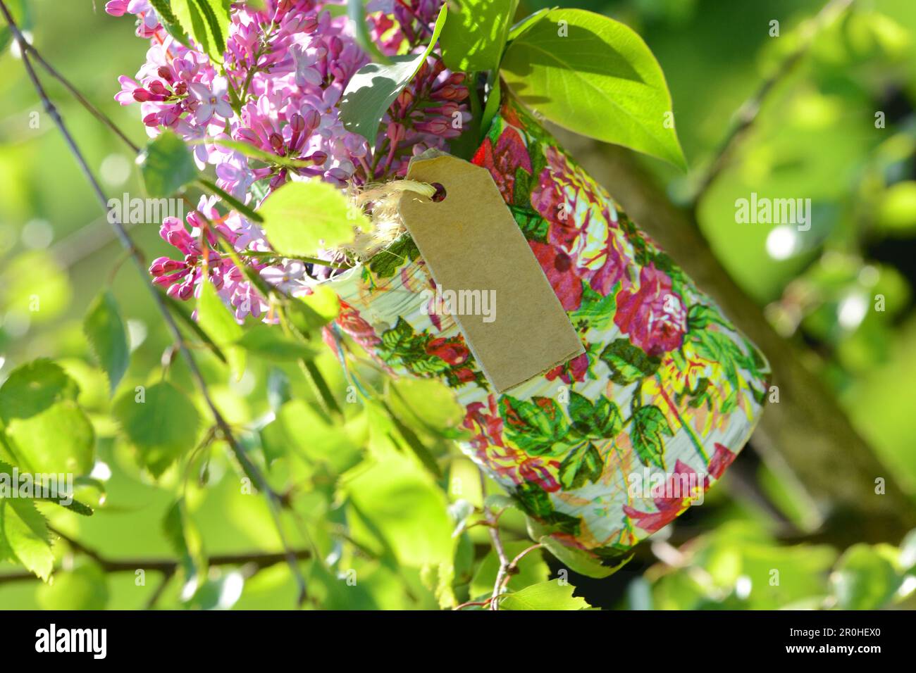Lilla comune (Syringa vulgaris), lattina colorata dipinta con lilla comune in un giardino Foto Stock
