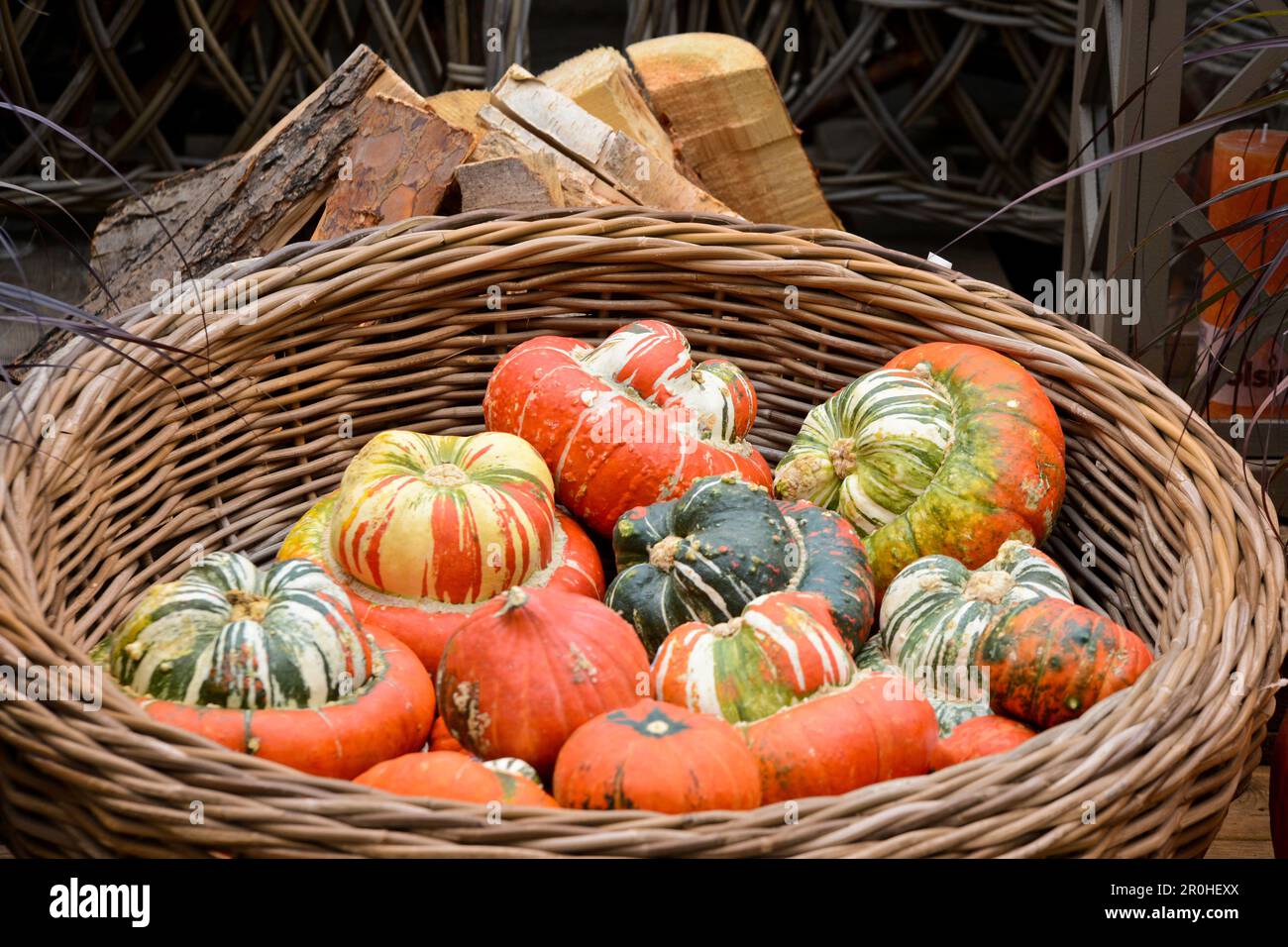Zucche in un cesto di salice come decorazione autunnale, Germania Foto Stock