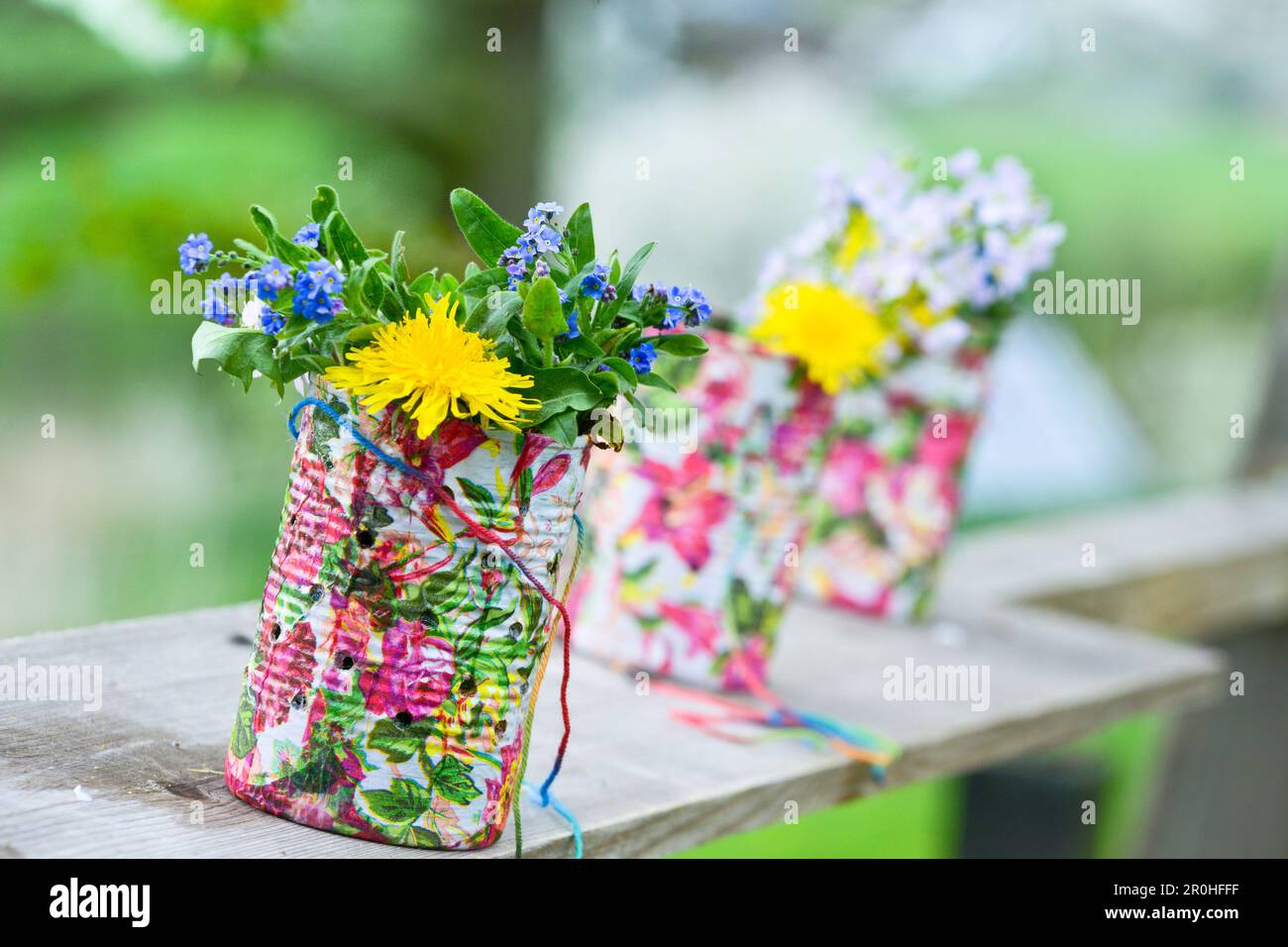 Legno Forget-me-Not, bosco Forget-me-Not (Myosotis sylvatica), fioritura Forget-me-Not e dente di leone in lattine colorate dipinte, Germania Foto Stock