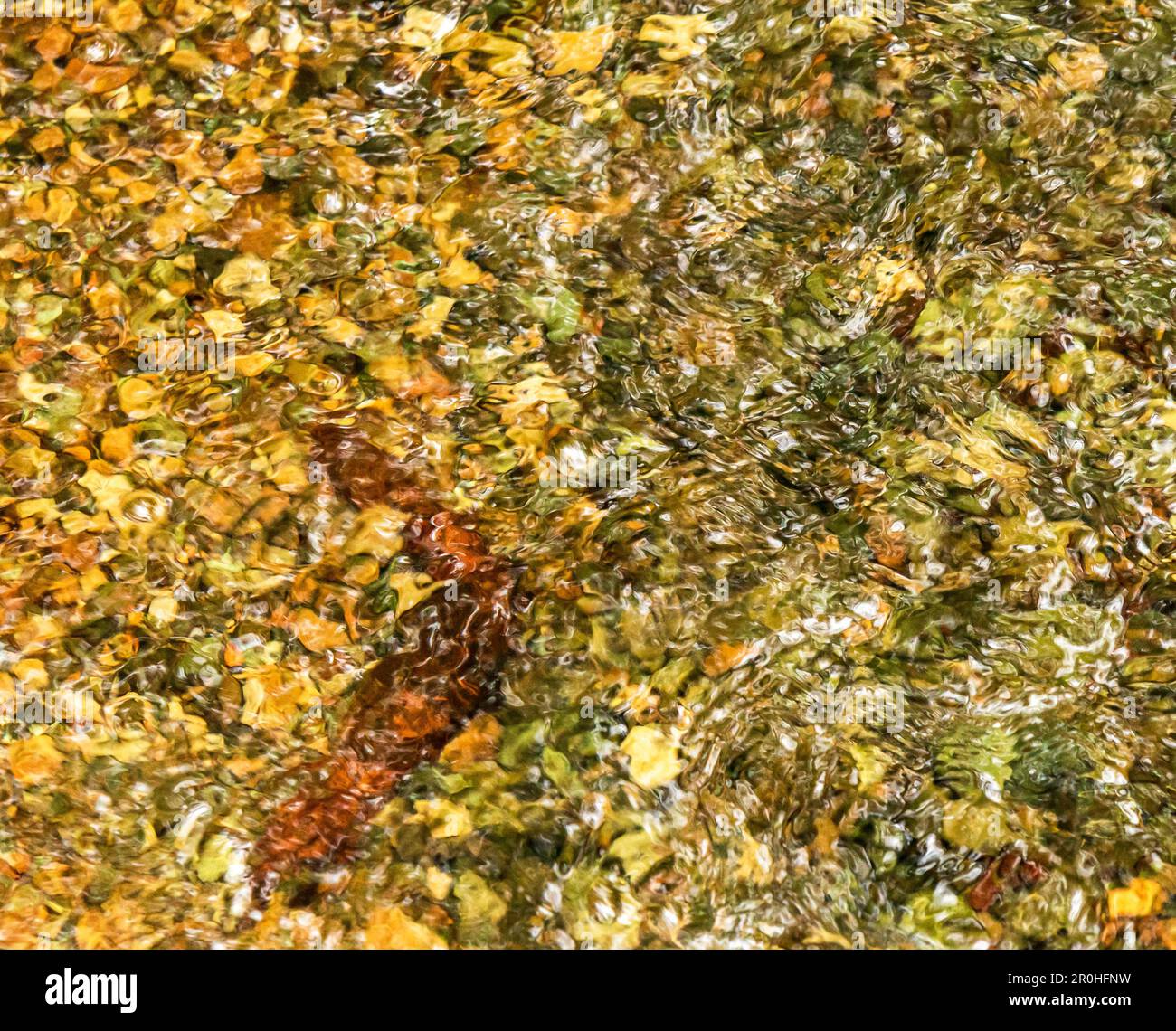 Vista dall'alto delle ondulazioni del fiume alla luce del sole, su rocce e ciottoli di colore chiaro. Astratto per sfondo, siti web, modelli. Foto Stock